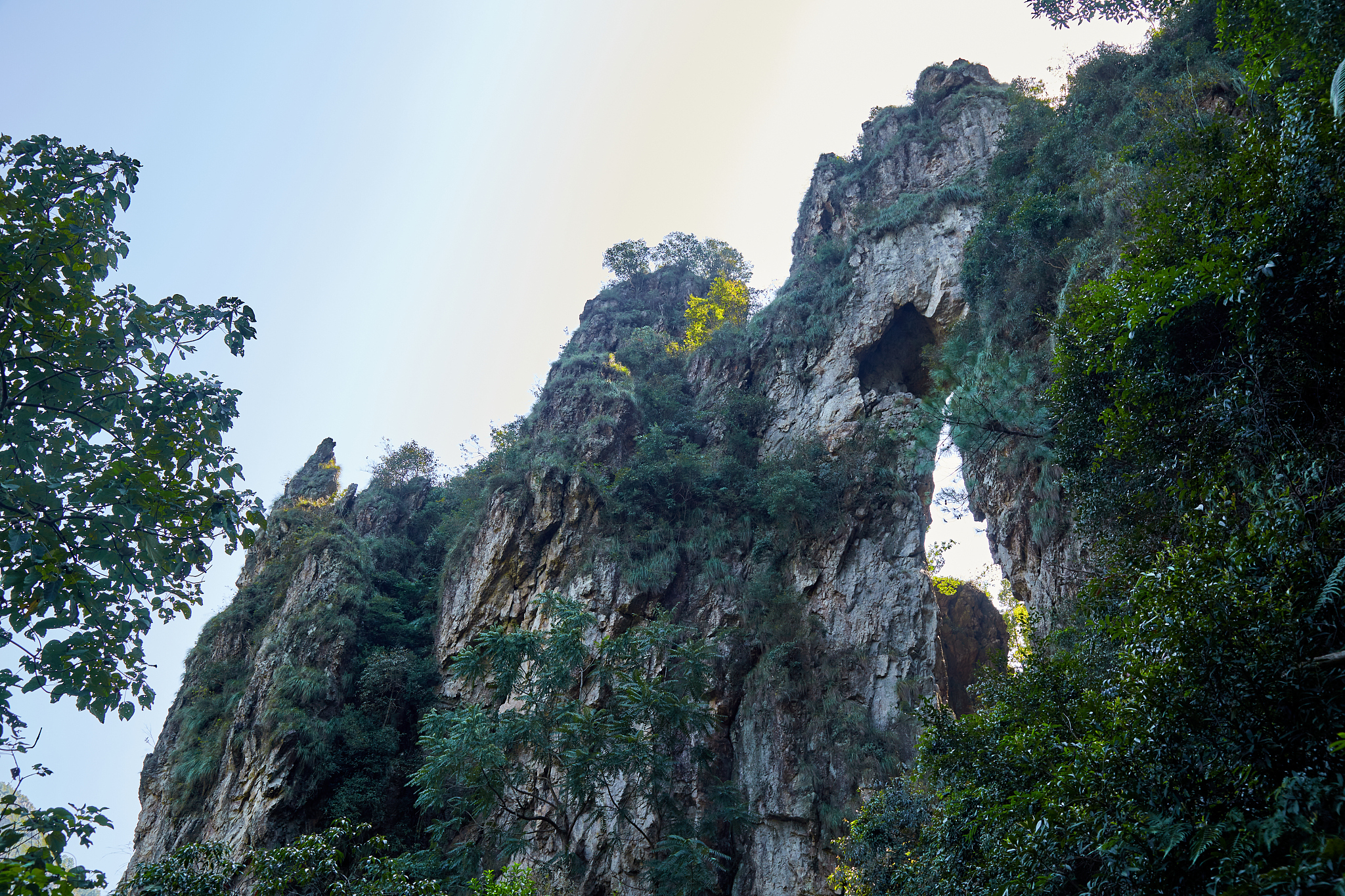 从温州雁荡山去上海嘉定区能进吗