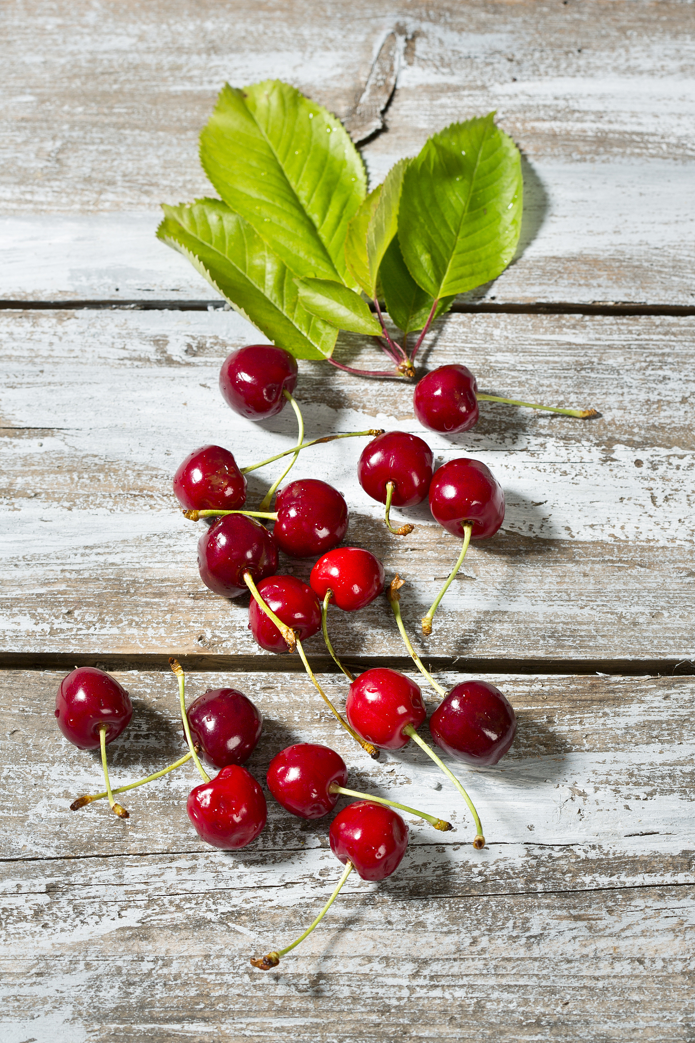 cherries and leaves on wood
