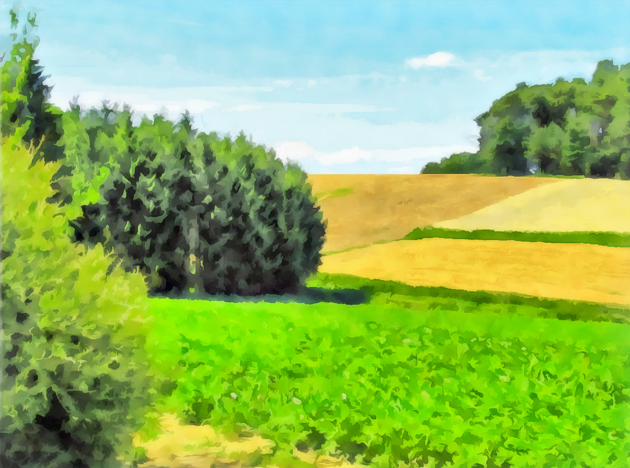 你可以帮我画一副乡村画么