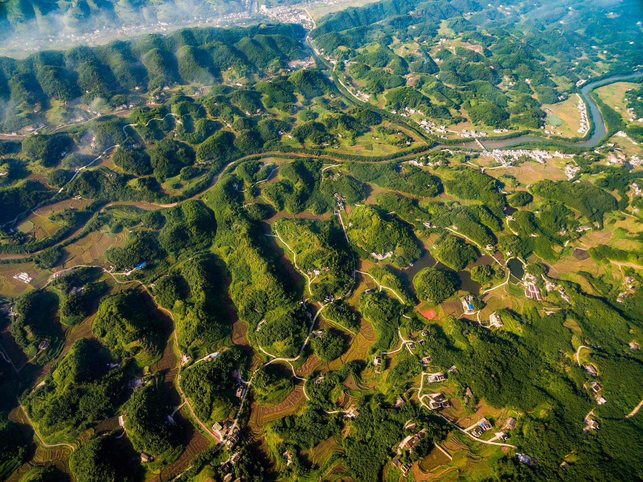 请问在四川的丘陵地区林地可以开垦来种植水果树吗 不少于250字帮我描述
