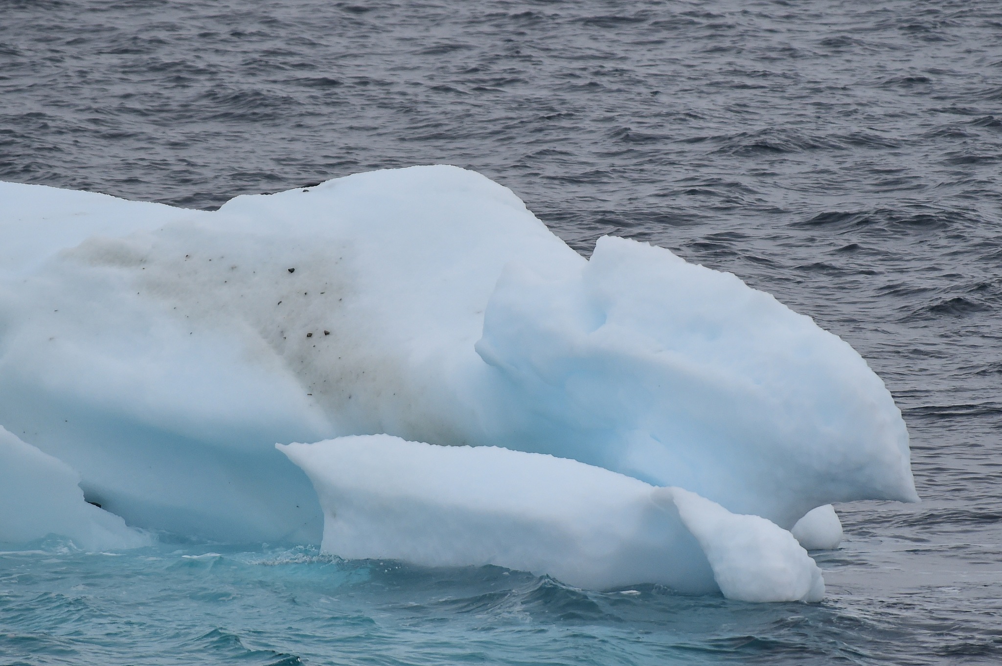 antarctica