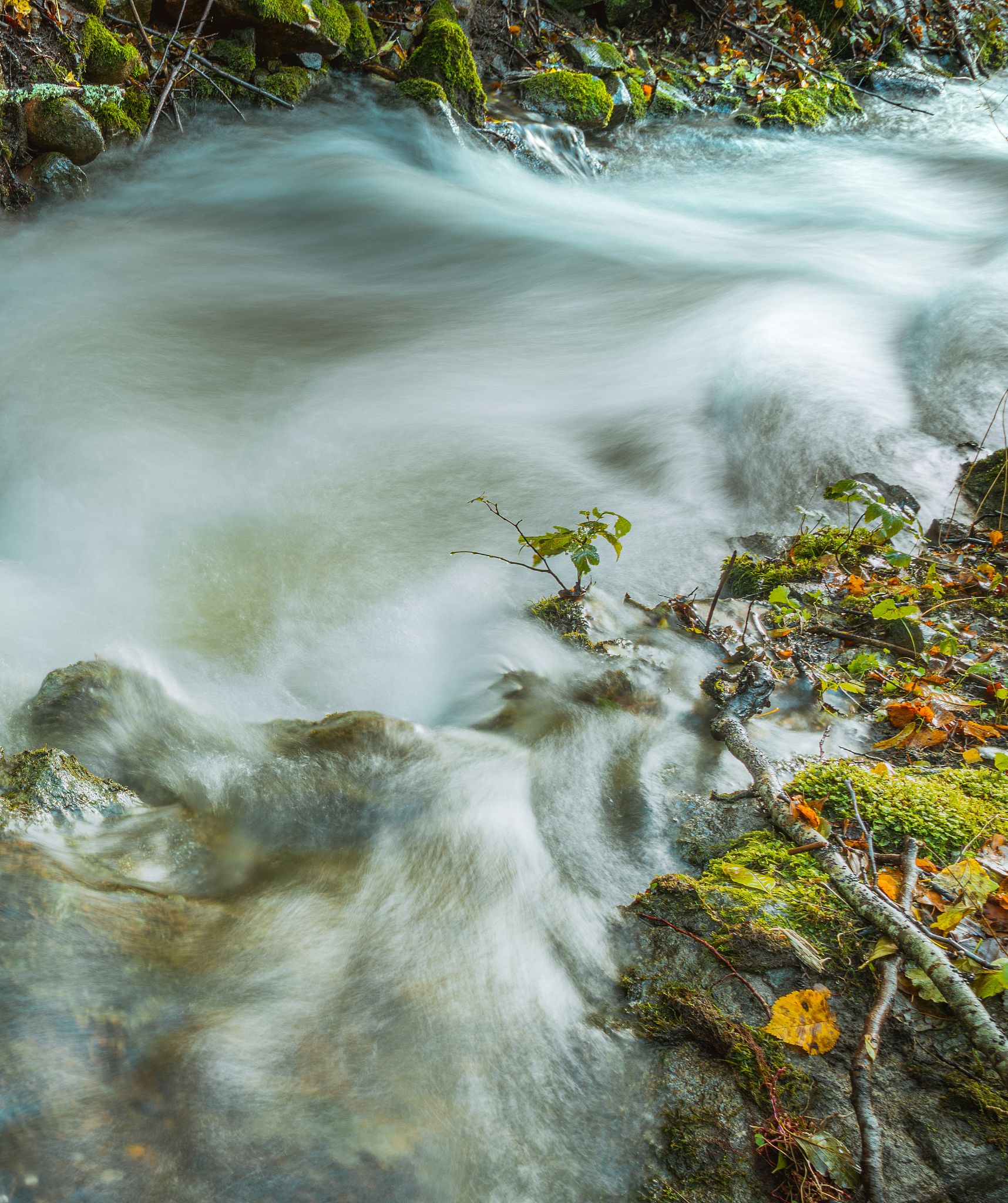 河流管理机制建设：从必要性到实施措施