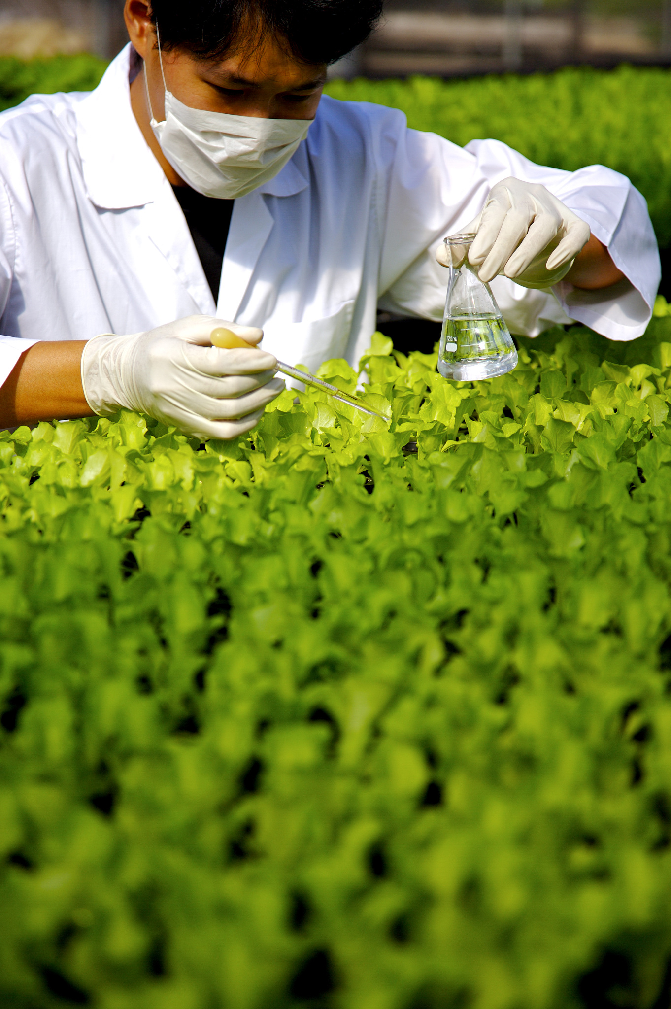 PLANT METHODS 期刊：植物科学研究方法的开放获取平台