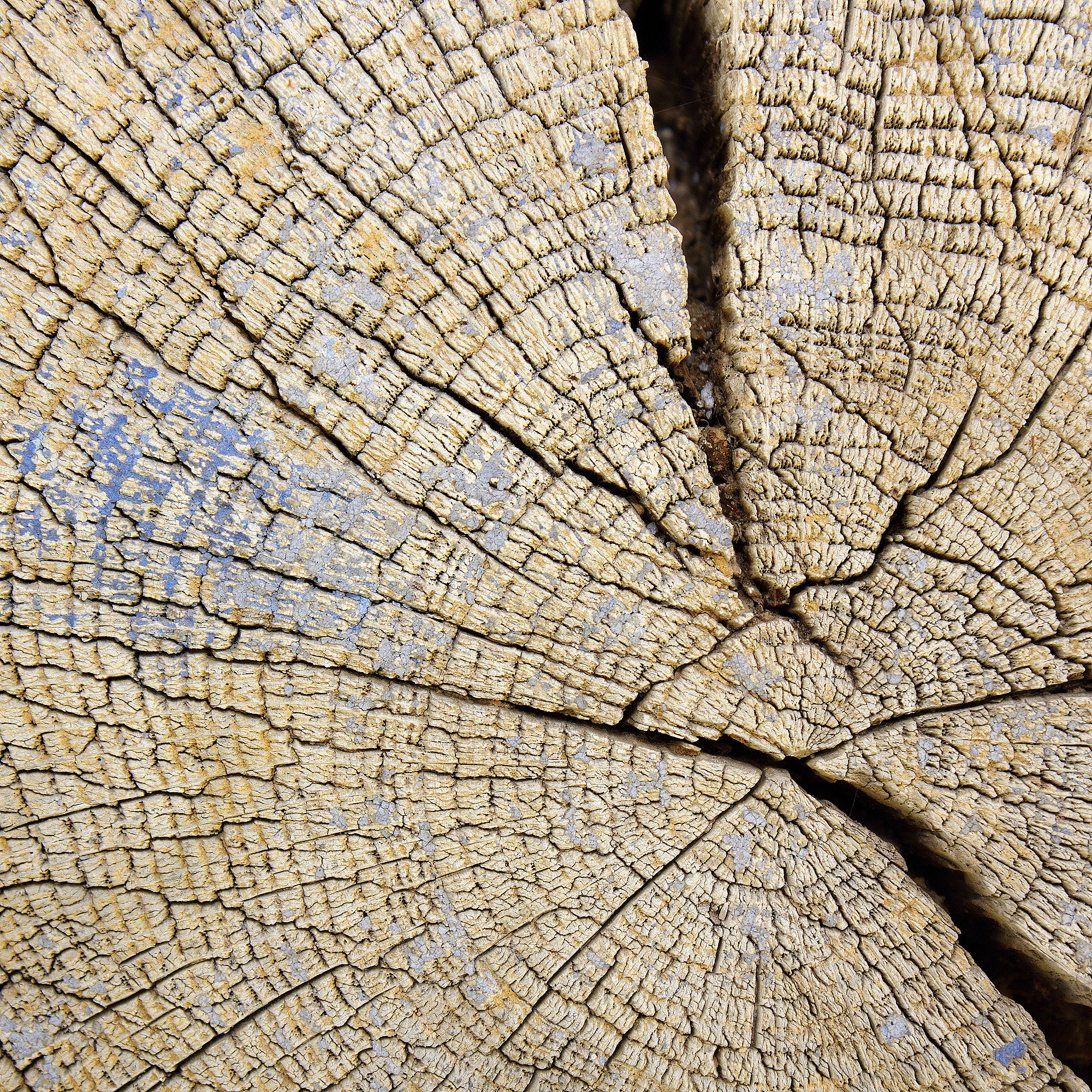 纹路：定义、应用和实例