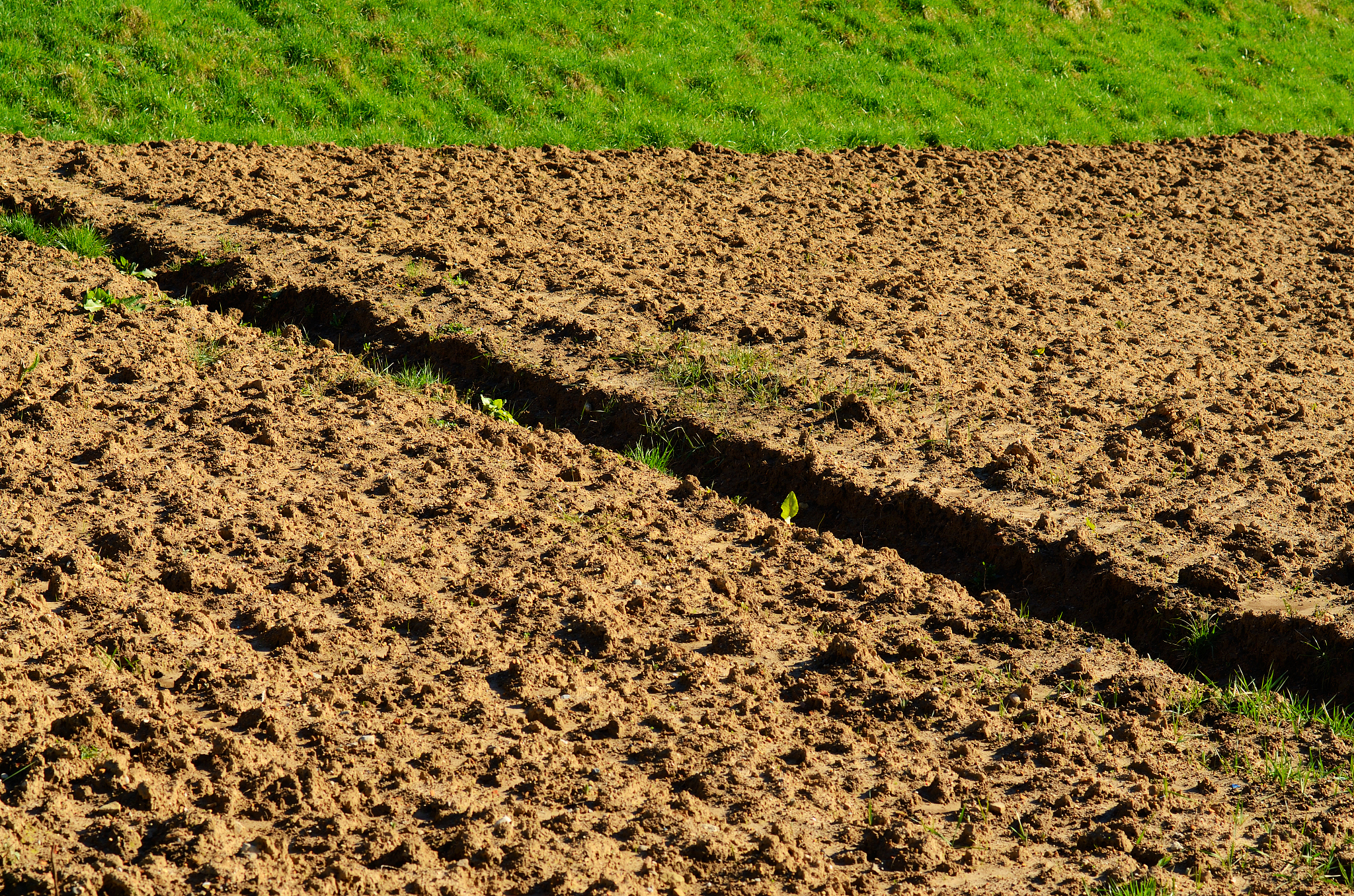 一块地表覆盖有小麦残茬的土地经过一年的休耕土壤含水量和径流是怎么变化的