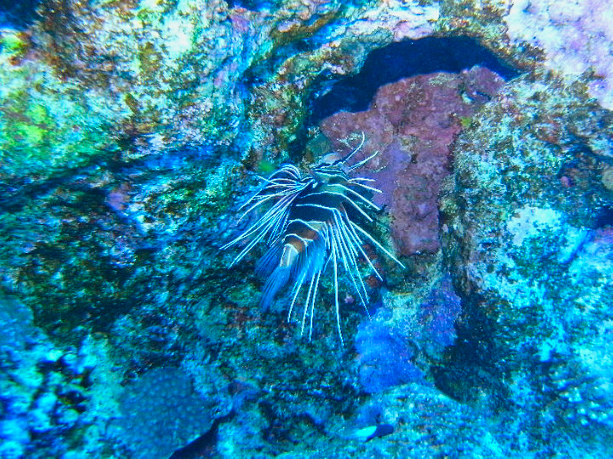 美国北加州尤里卡有什么好玩的