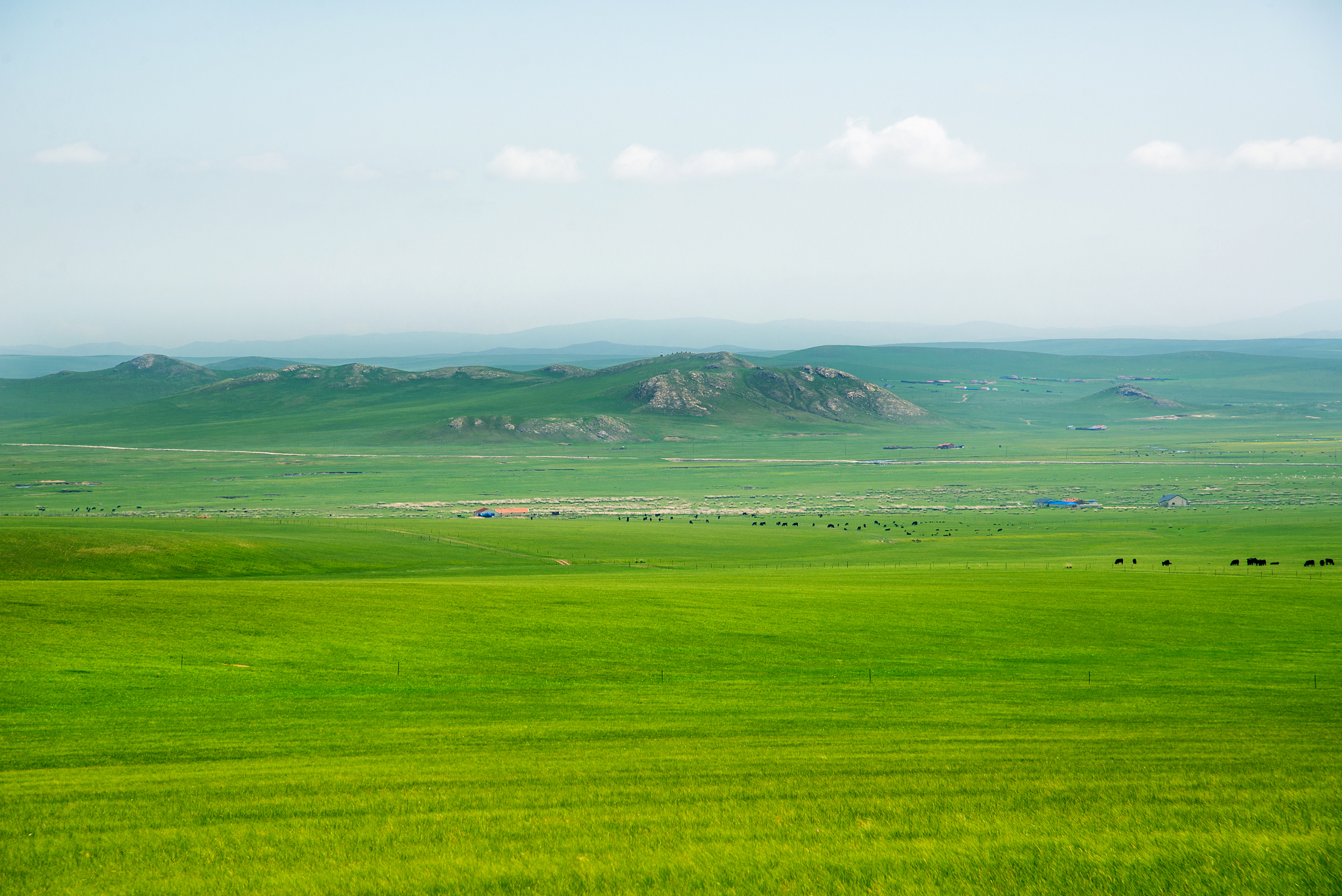 帮我写一首诗描绘一下大草原