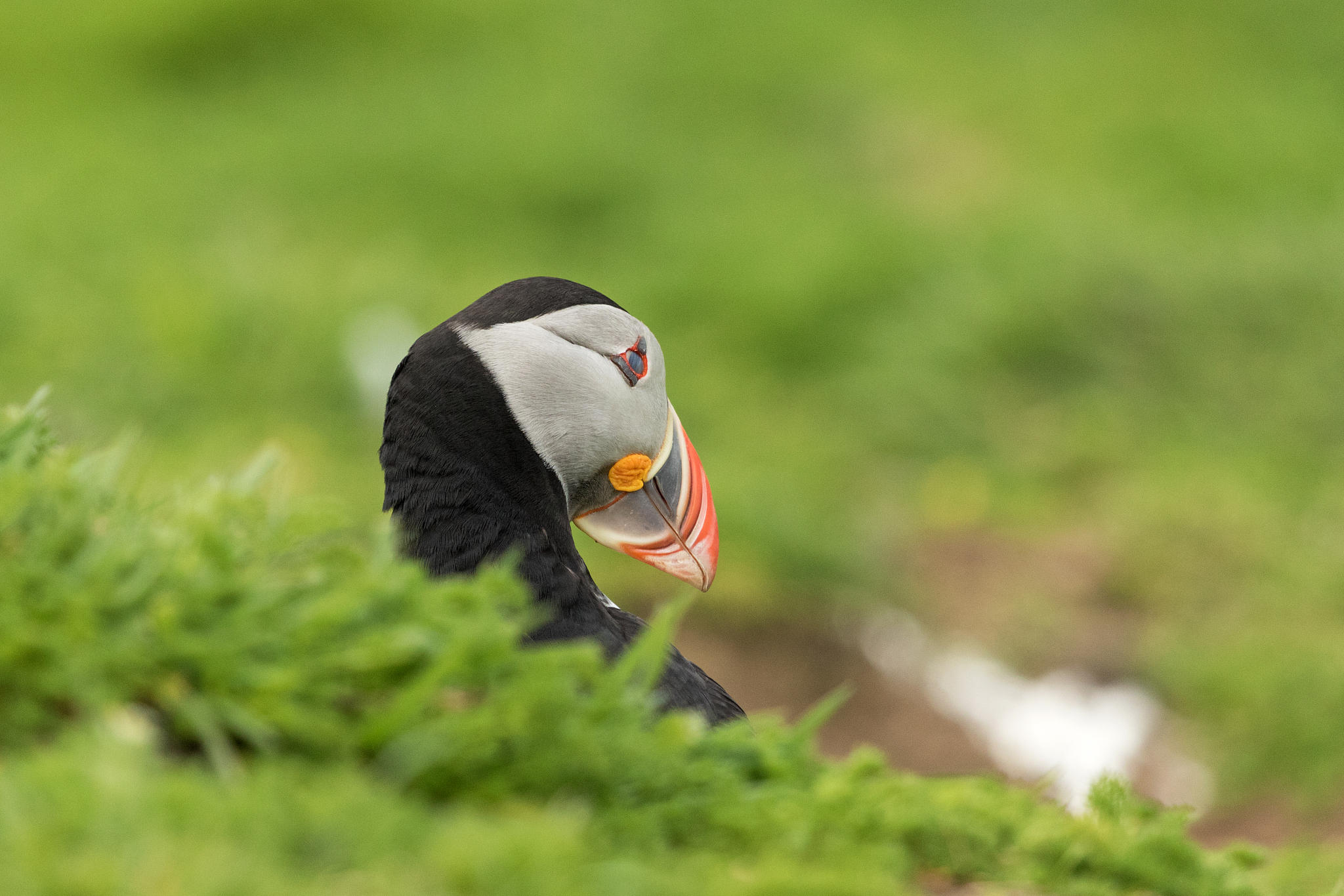 假面骑士二柱子