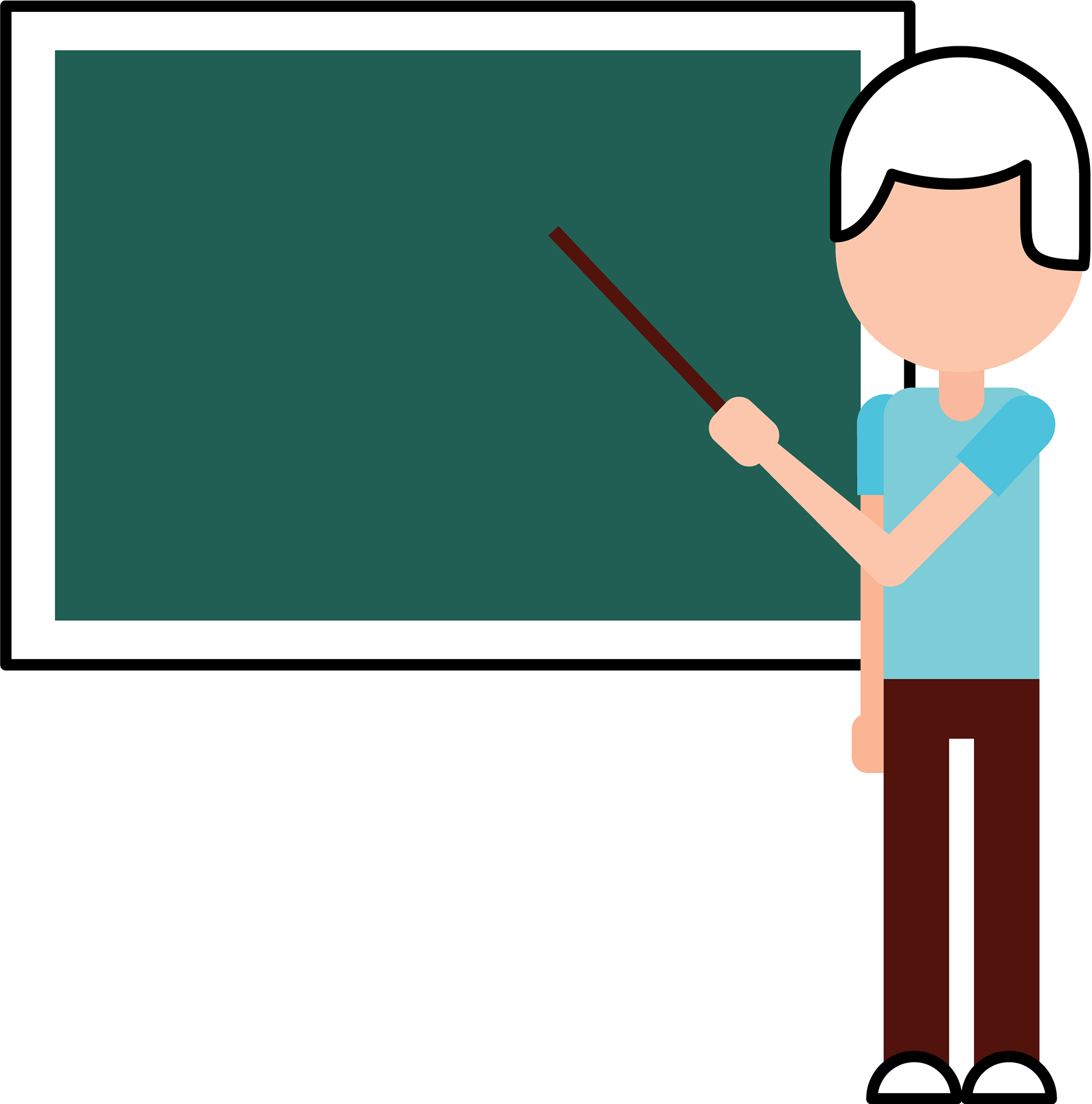 teacher with pointer showing on board on lesson at