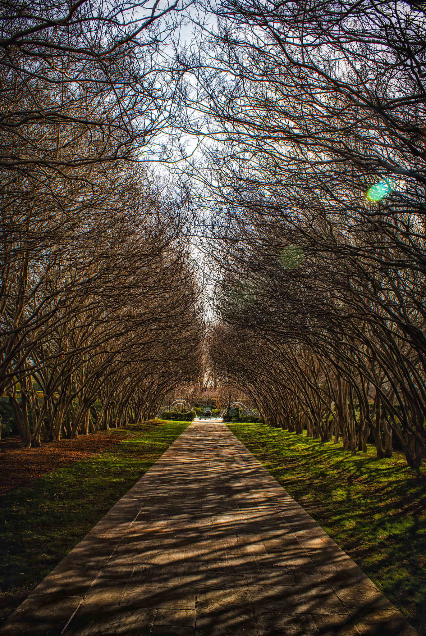 Accounting firm usally have software like Quickbooks and Peachtree Software Engineering firms usually have high performace computers and software like IDE and SQL etc What are some of the software and