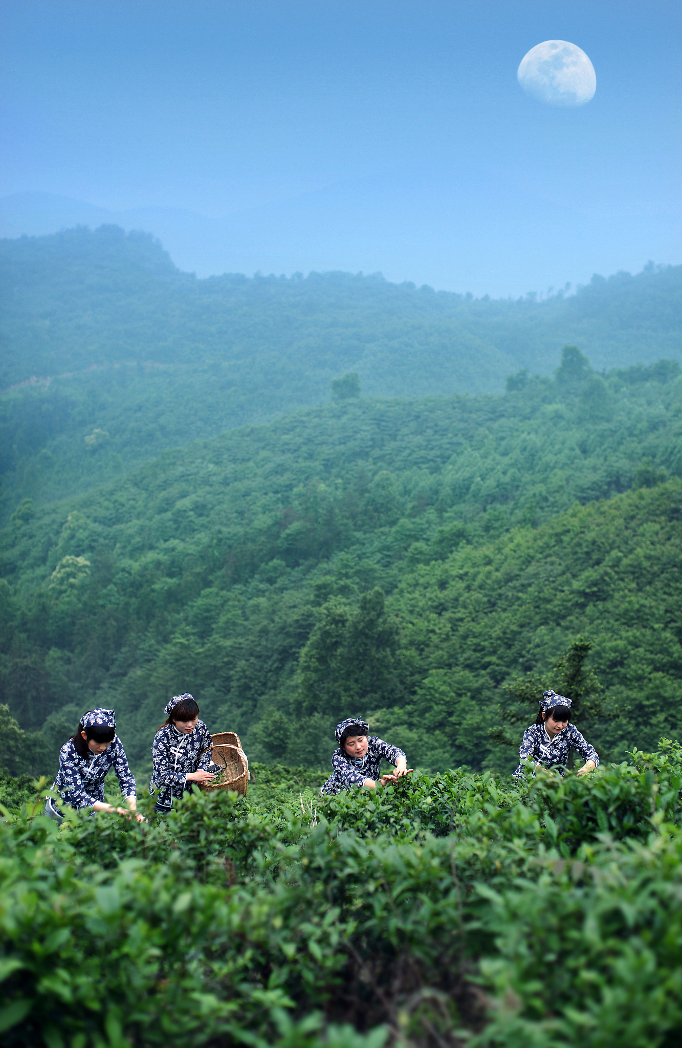 广西金融职业技术学院旅游管理专业：课程设置及就业前景