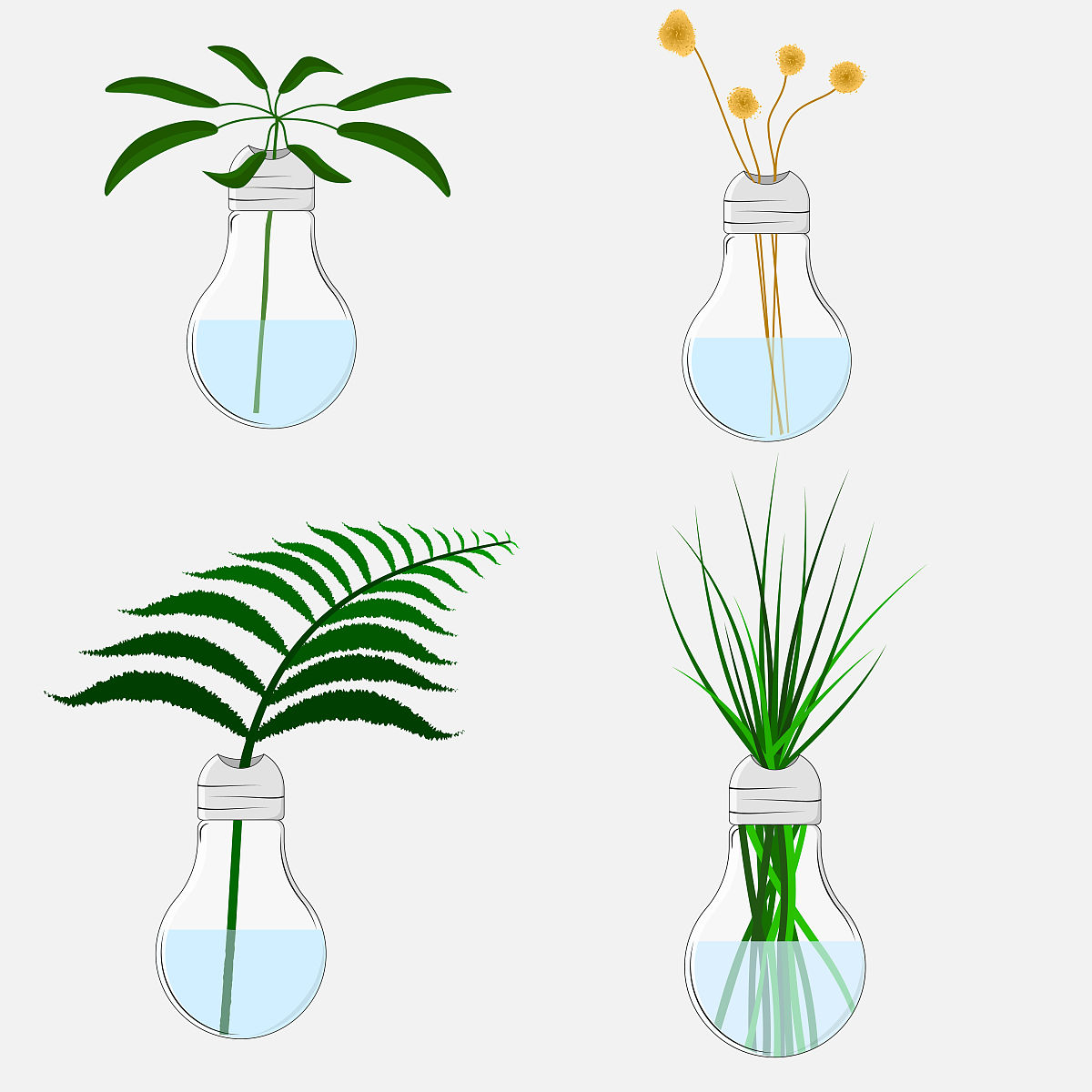 水培植物与水中溶解氧变化的关系