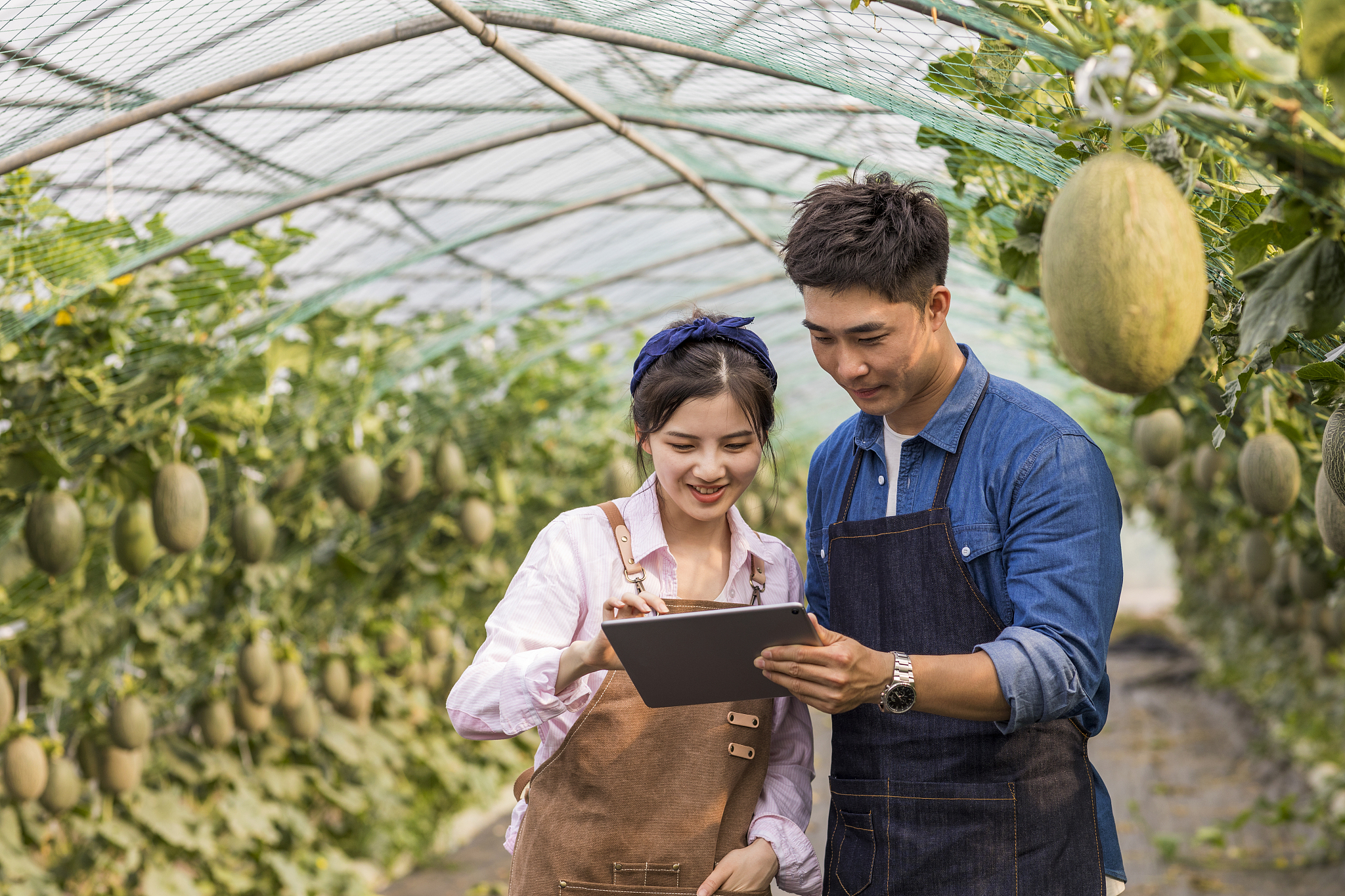 曲靖农业职业技术学校五年制专科招生：培养农业领域专业人才