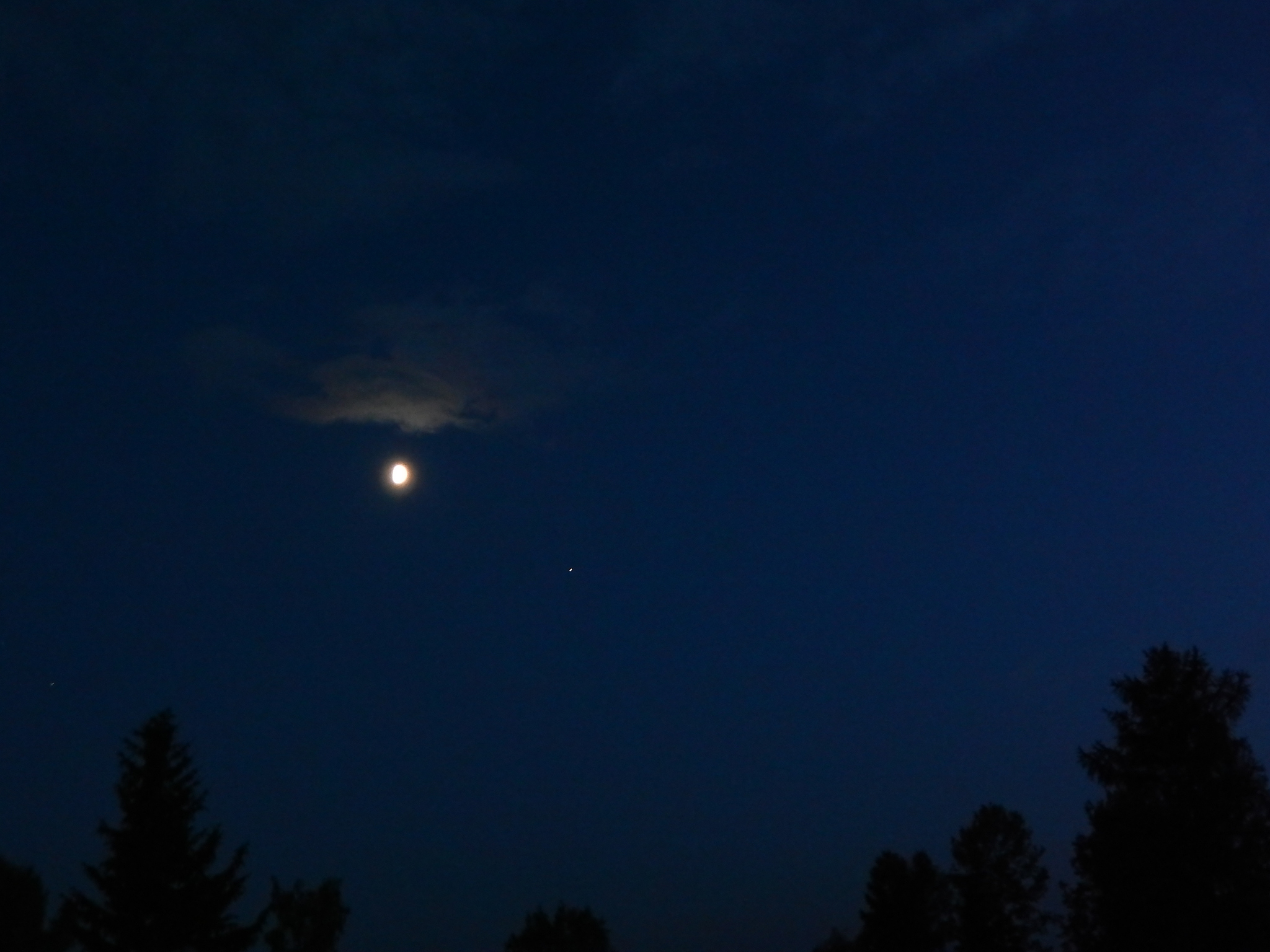 moon and venus above the forest