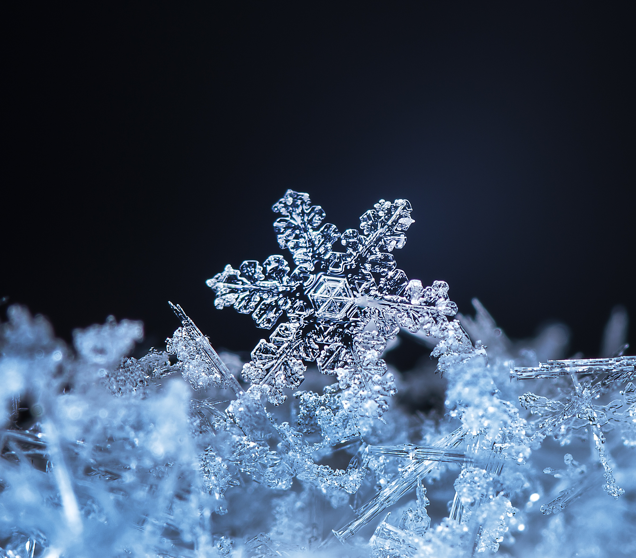 雪花一片掉落