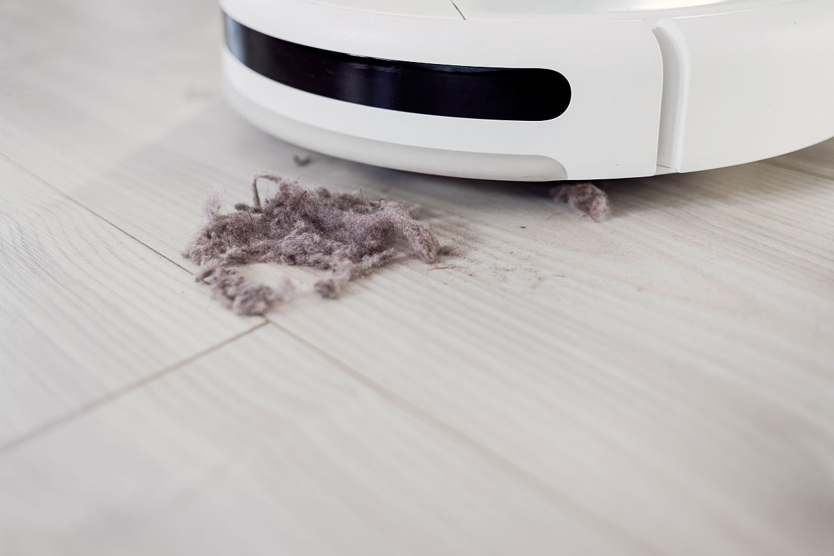 哈士奇体验宠物多功能美毛机，洗澡变快乐！