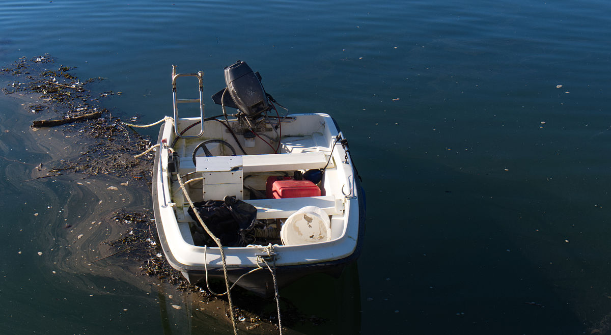 科技未来探索海底！ - 水下机器人团队展示翻译成英文