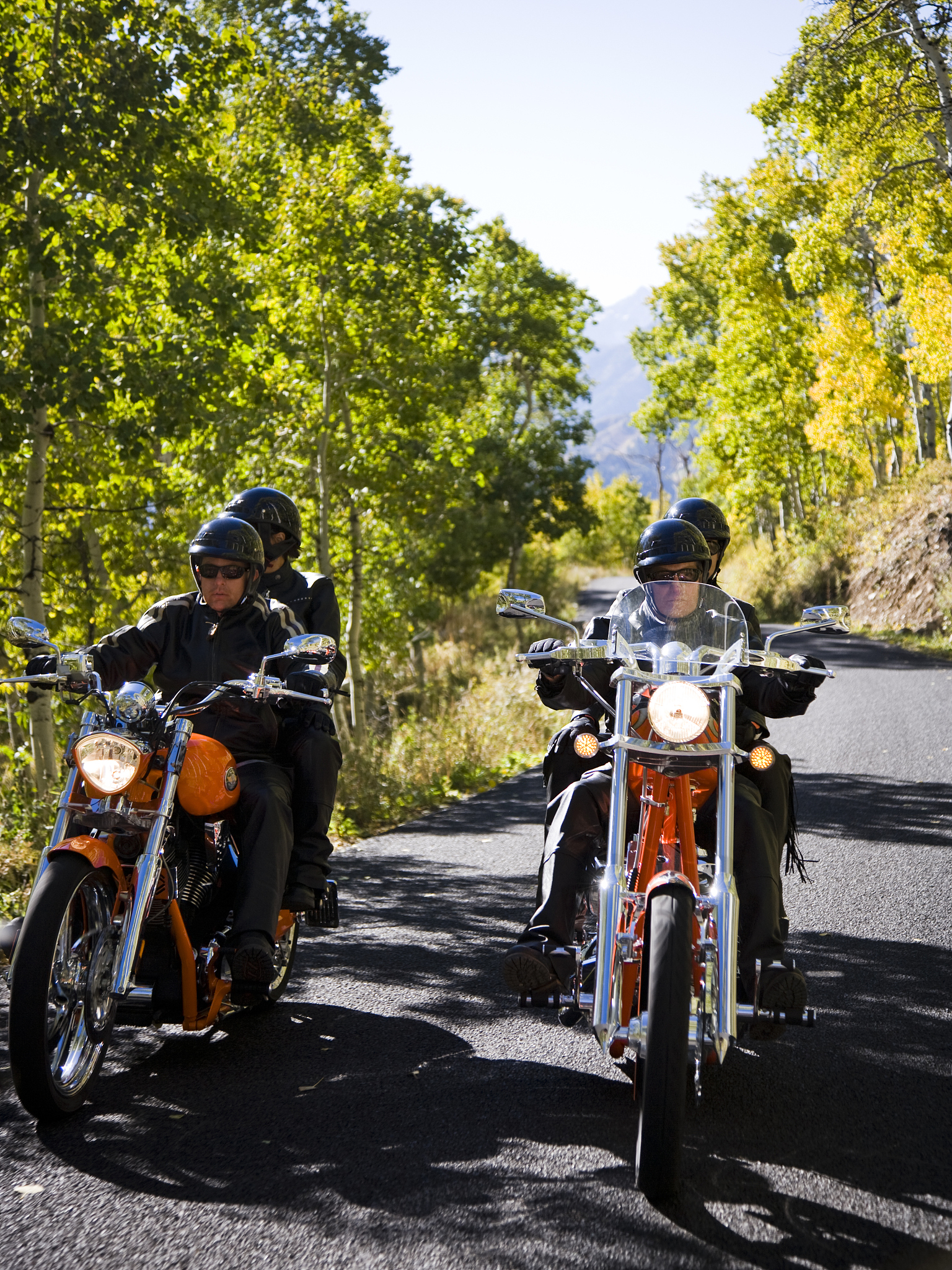 哈雷大道滑翔图片：安全获取版权图片