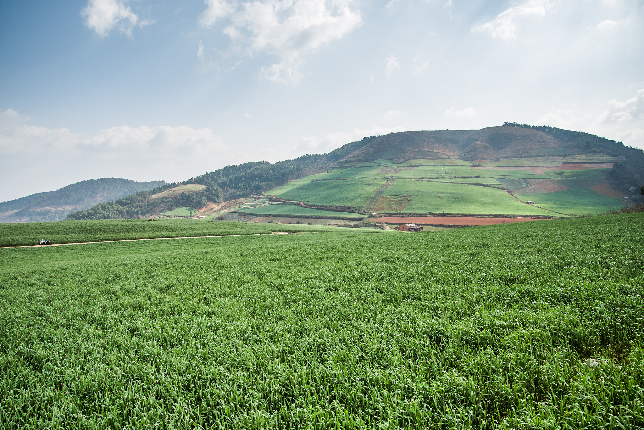 红河州农业学校水利水电工程施工专业怎么样