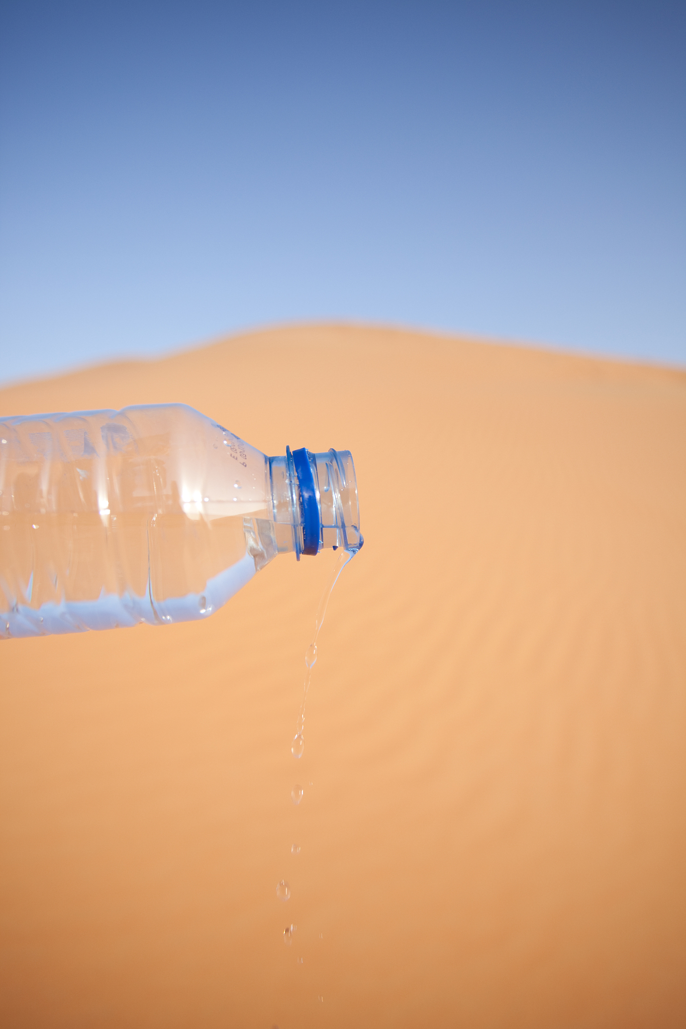 饥荒正版手游更新日志 - 1.0.30 版本