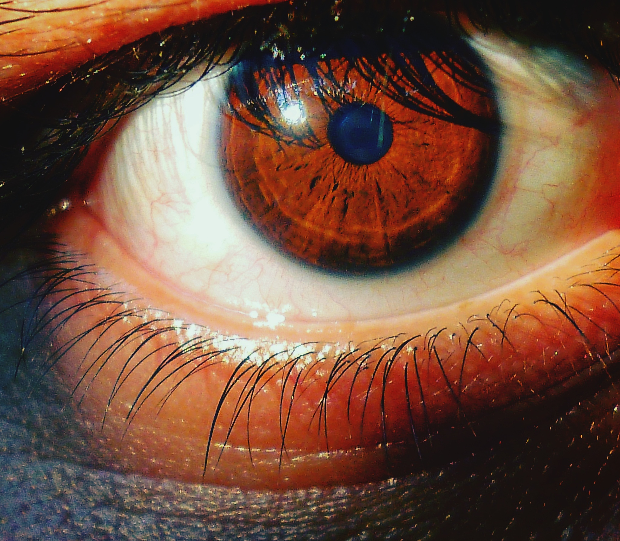 close-up of human eye