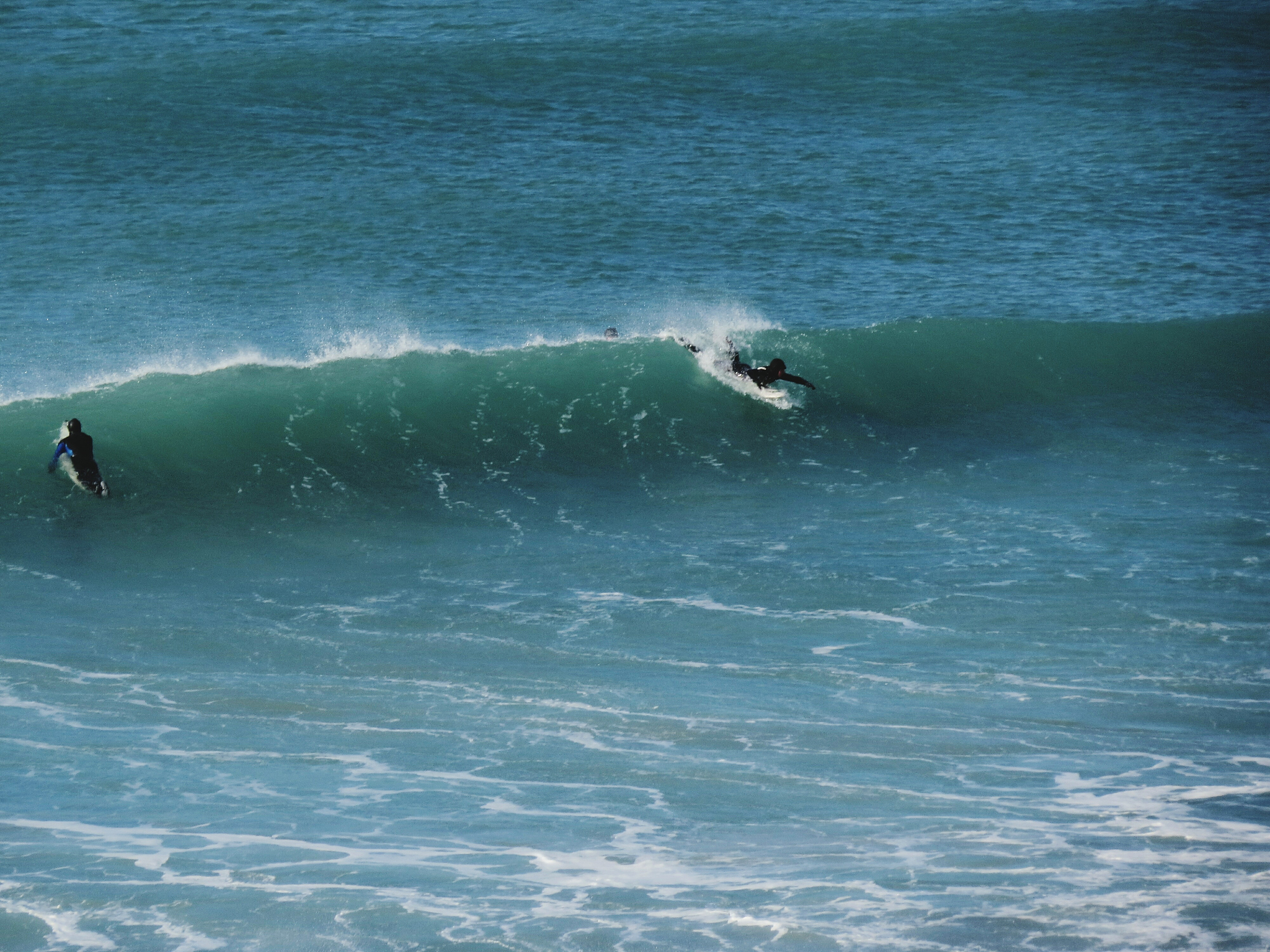 天津海运职业学院单招2022年招生专业：海洋科技人才培养的摇篮