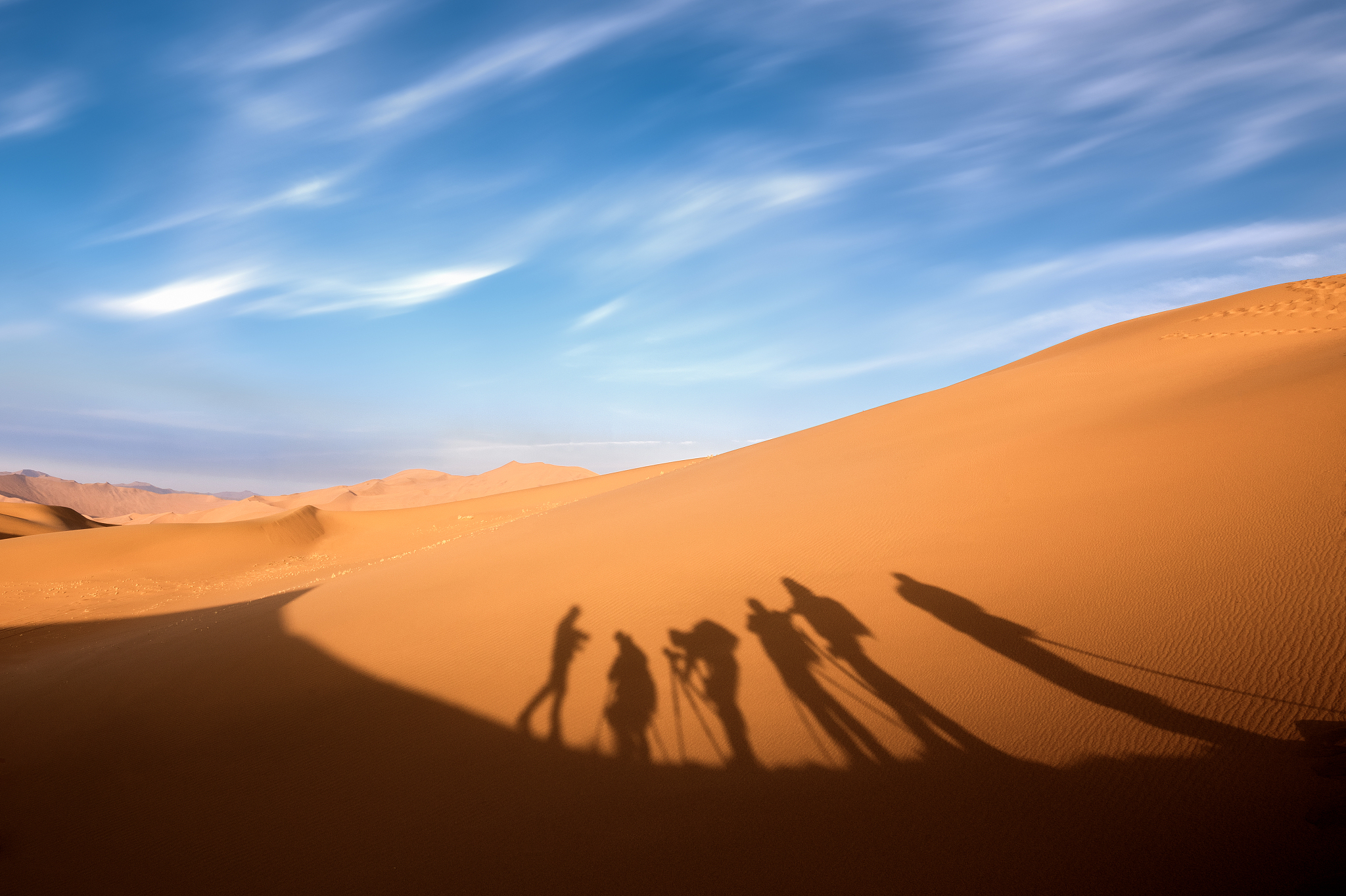 《沙哈拉沙漠》观后感：一场关于生存与希望的震撼之旅