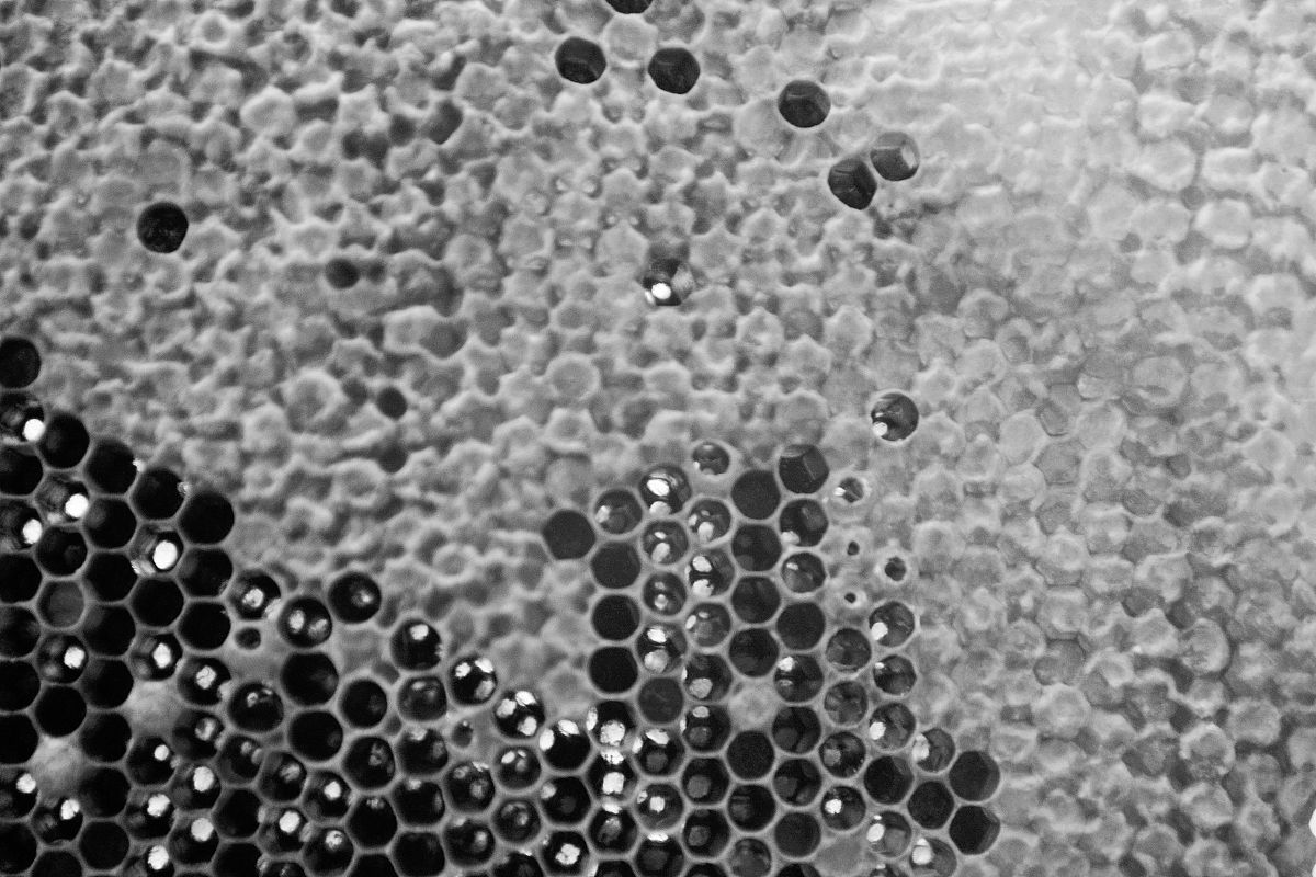 请使用高级语法及词汇润色以下句子：Besides the number of Cr atoms decomposed from Cr2AlC increases with the sintering temperature which reacts with the carbon atom on the graphite surface to form the Cr3C2 interfacial