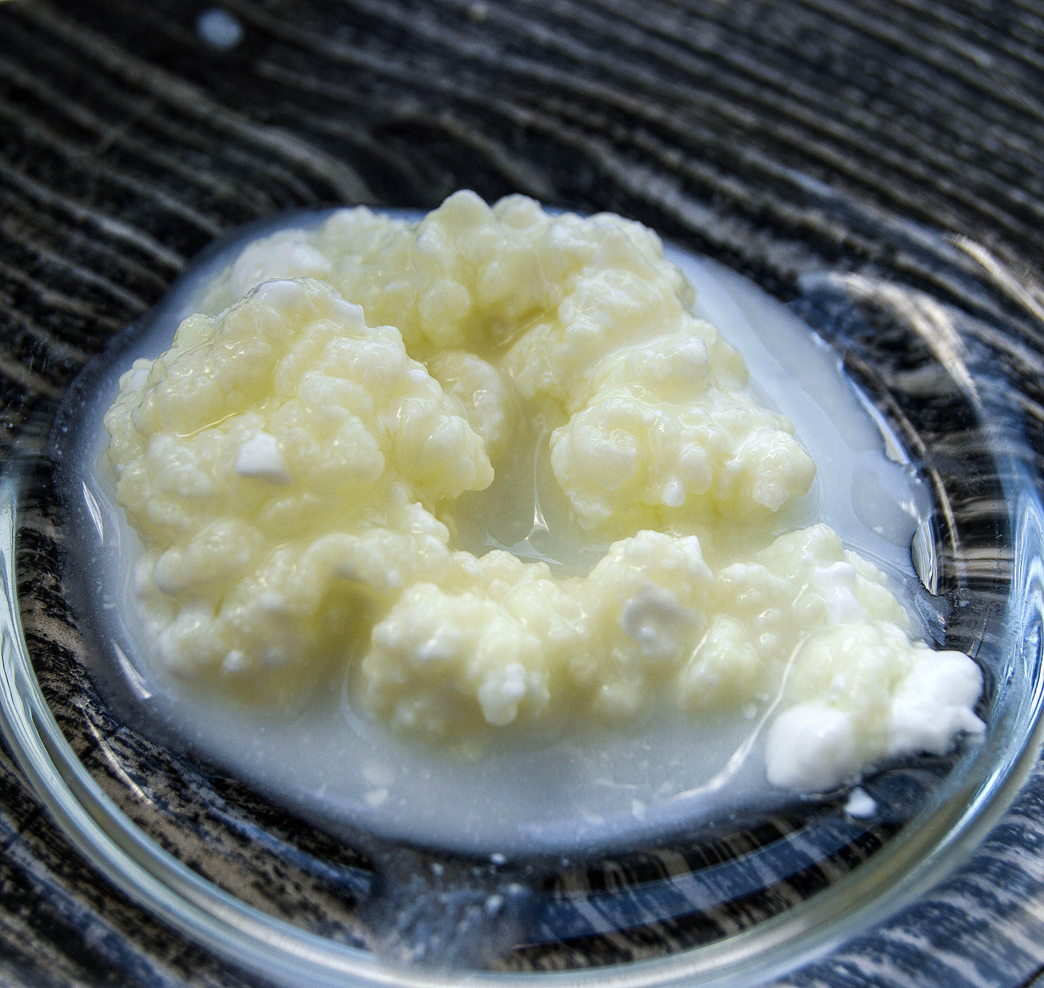 食品与化学毒理学期刊：研究论文、综述和评论