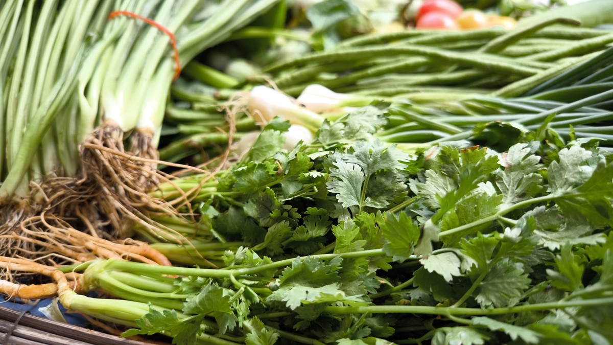 生吃西芹的注意事项：新鲜度、切片、烹饪技巧等