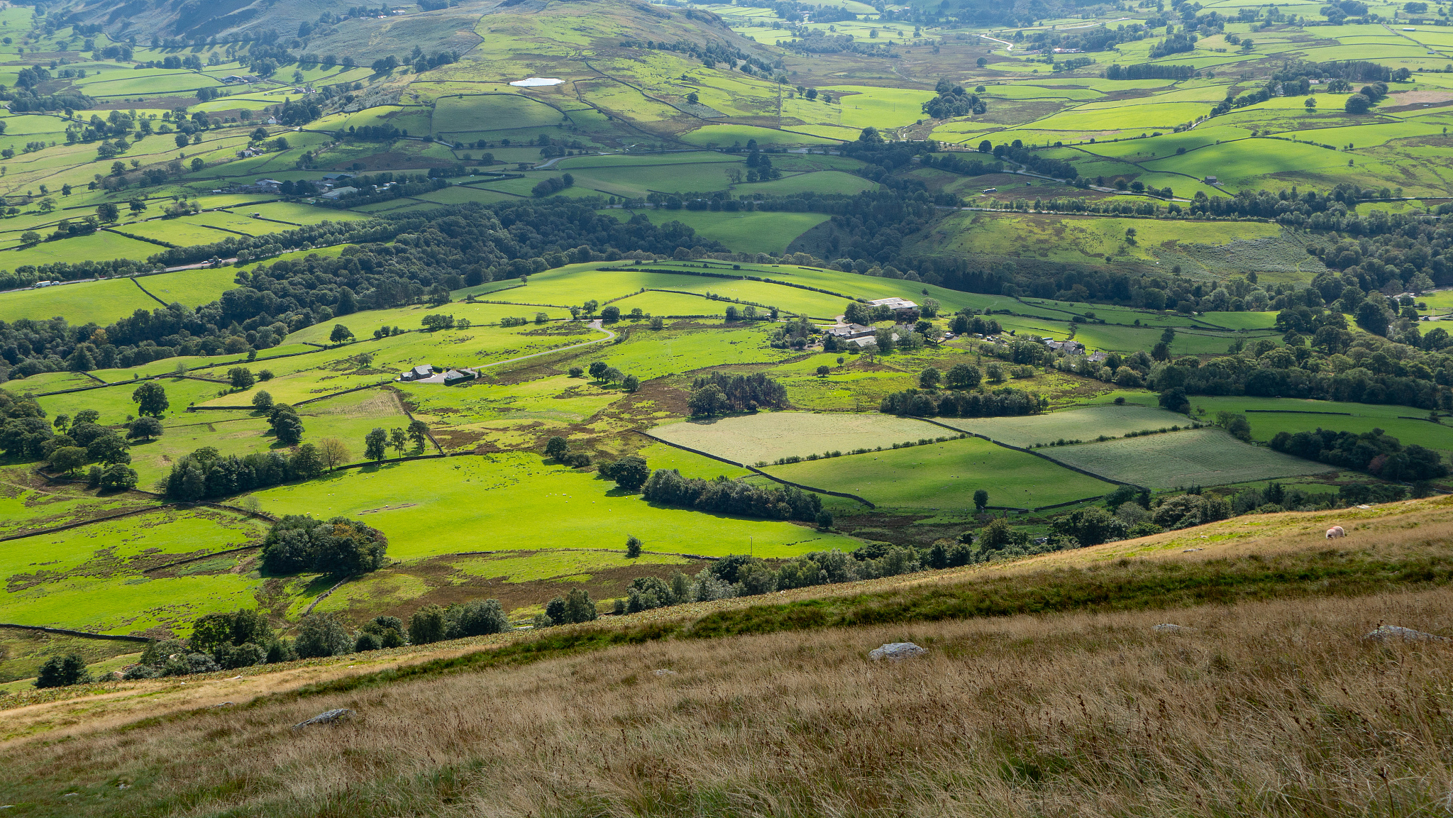 idyllic view of countryside