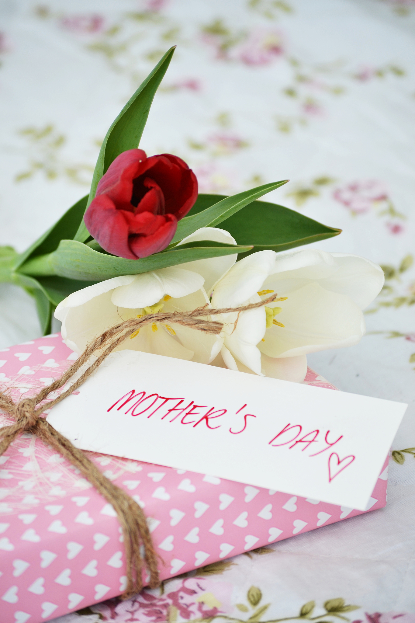 过生日为送花的人写封感谢信