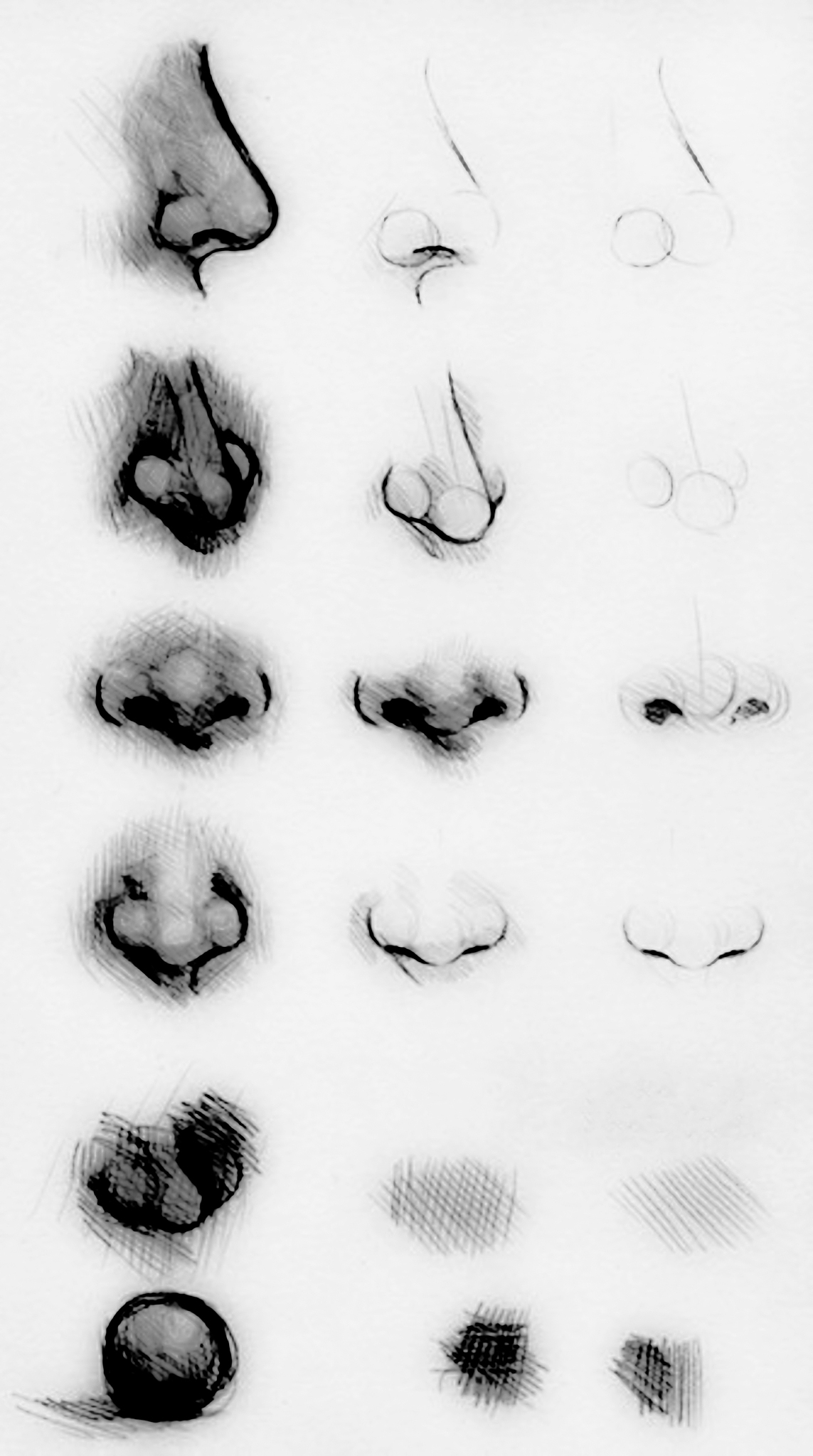 素描如何画鼻子