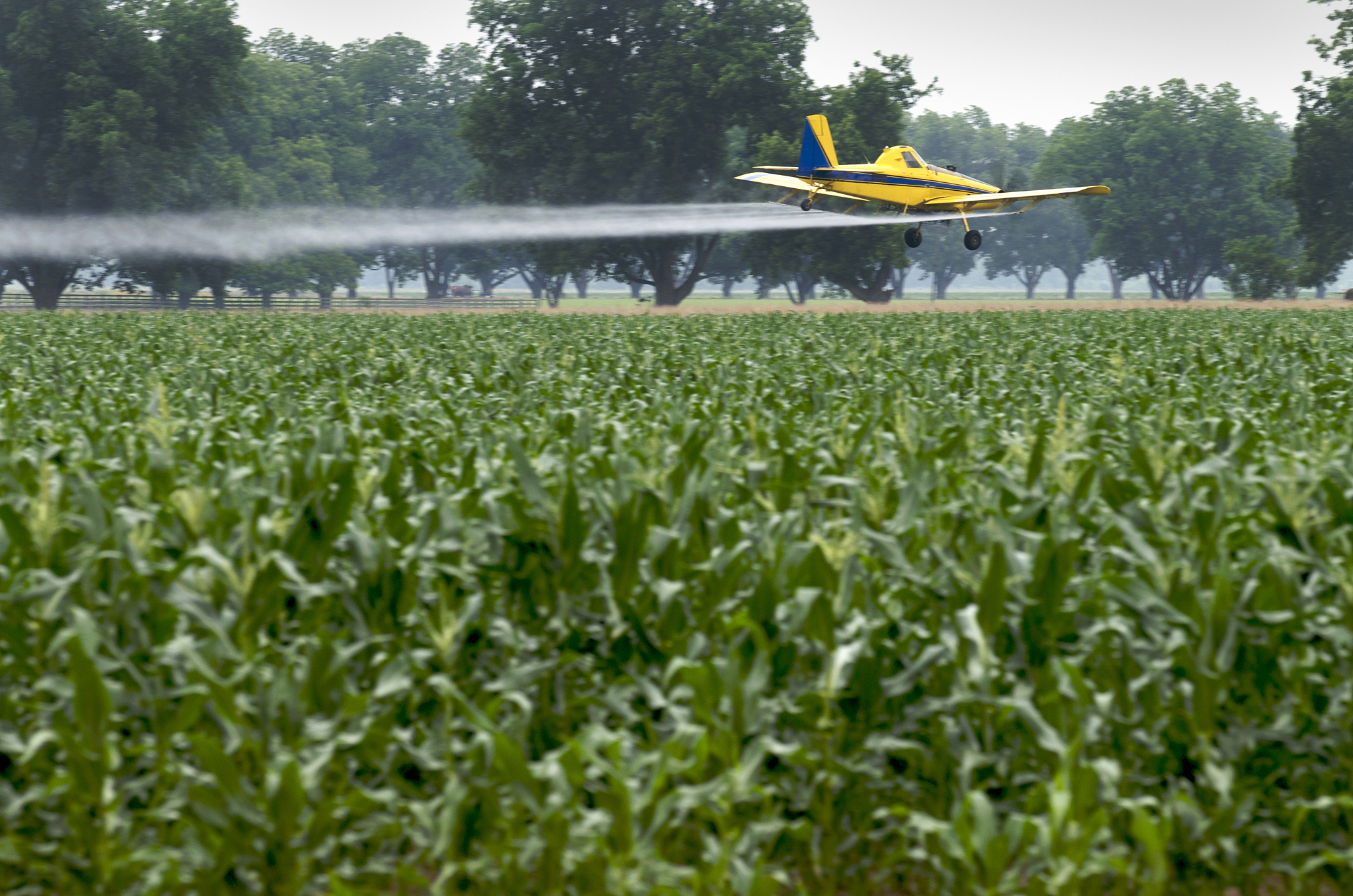 除草剂广告语大全，除草神器，让你的草坪更美！