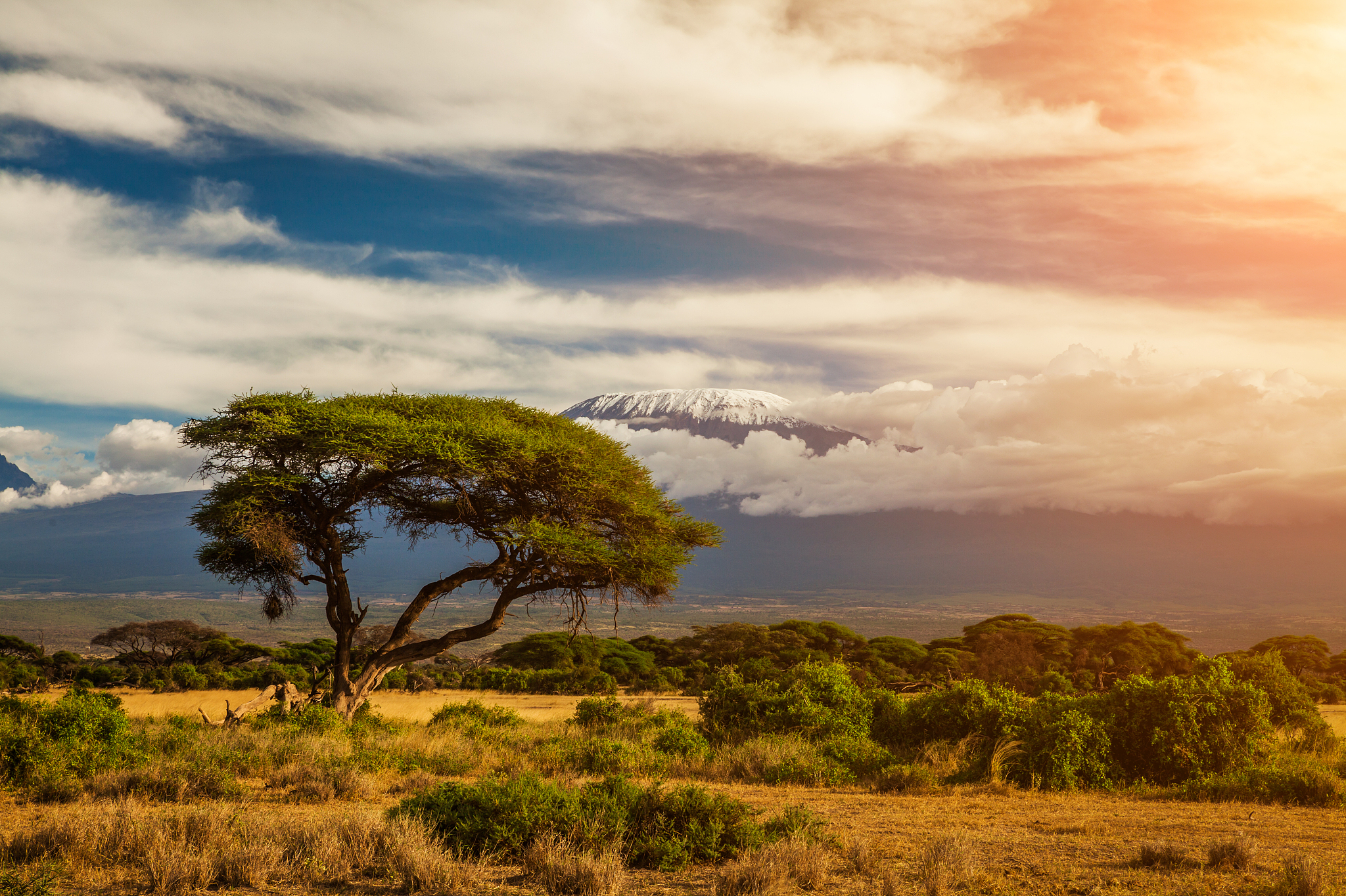 mount kilimanjaro, amboseli, kenya