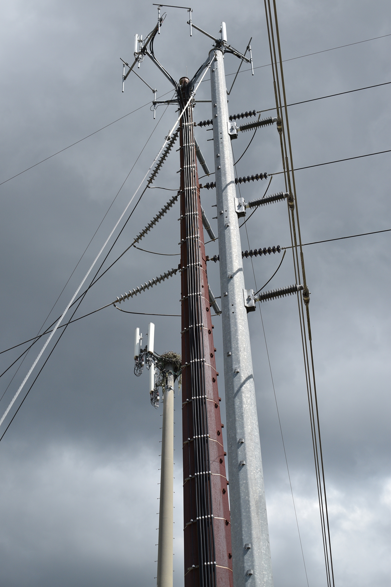 福建电力职业技术学院发电厂及电力系统专业涉及哪些课程