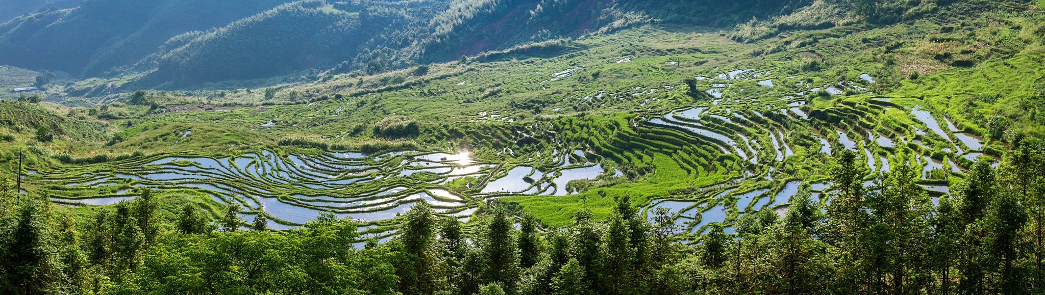 福建农业职业技术学院单招有高铁乘务专业吗？