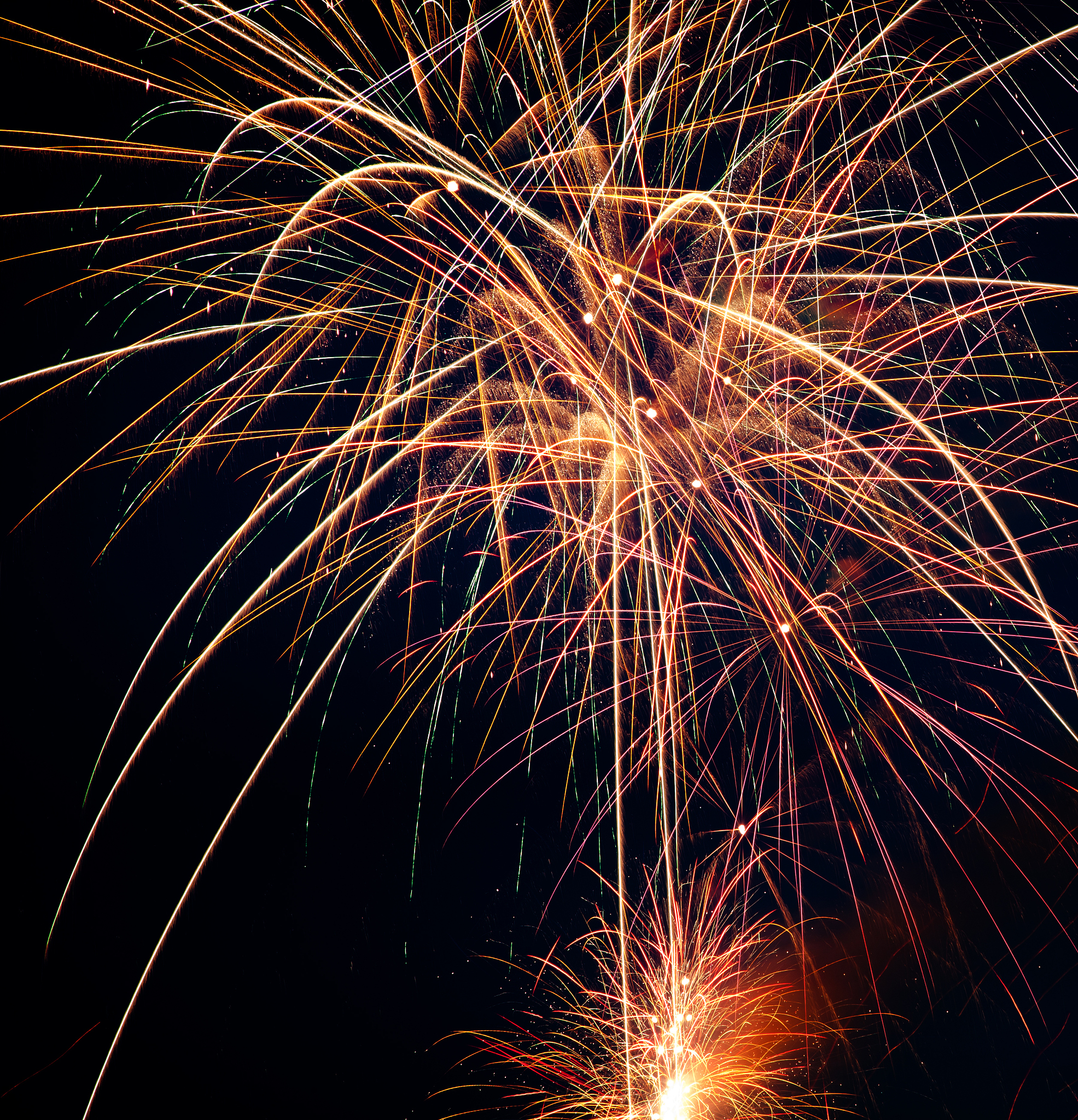 晚上好！美好的夜晚开始了