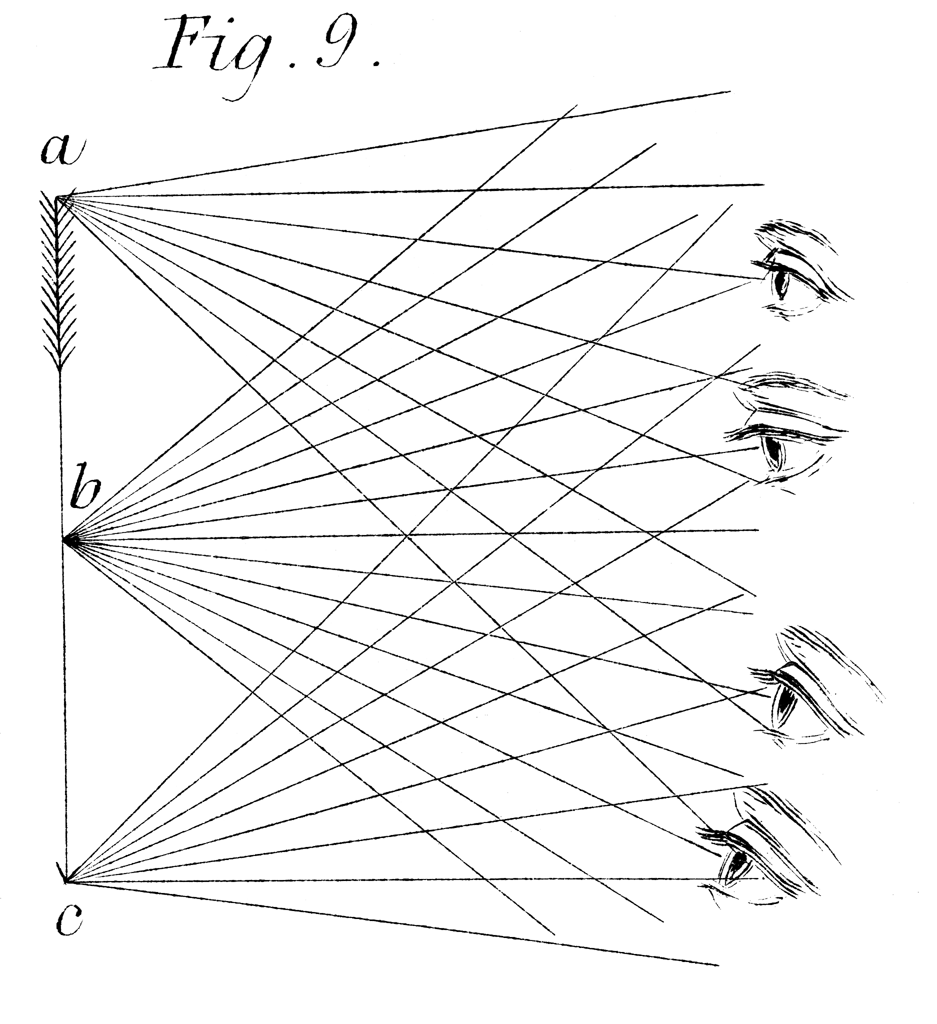 布尔巴基学派简介，500字