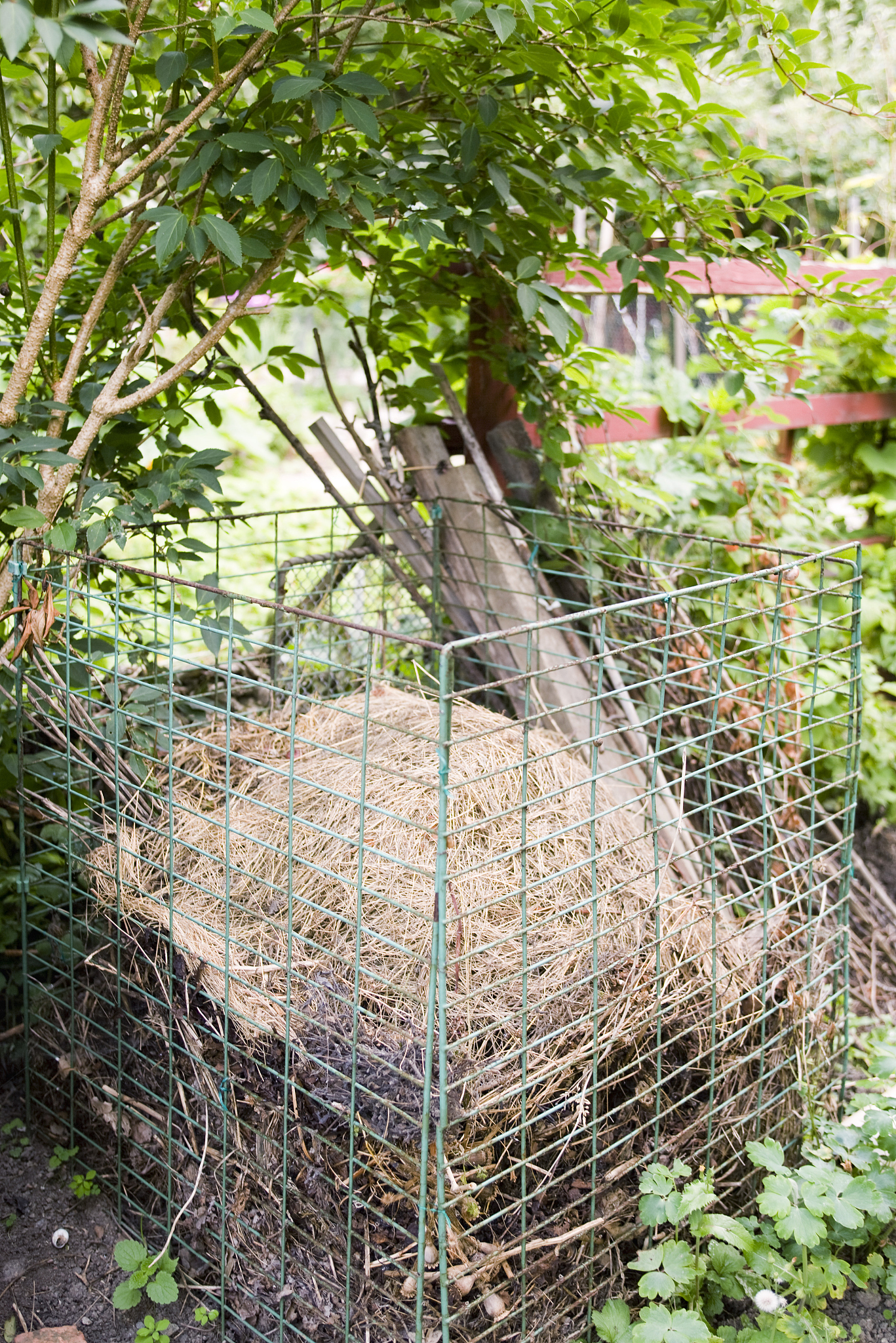 什么东西不能堆肥