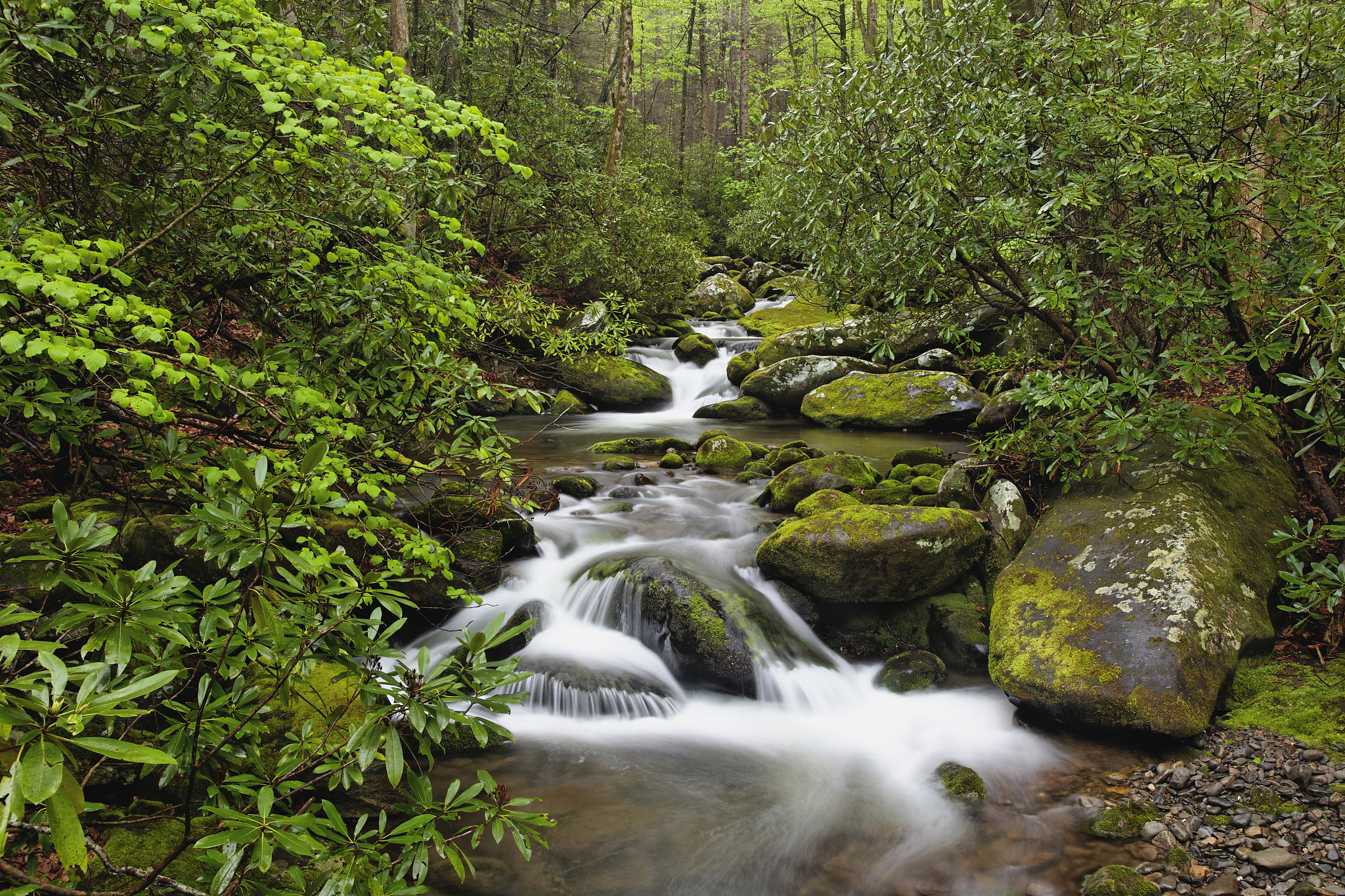小溪流水响叮咚