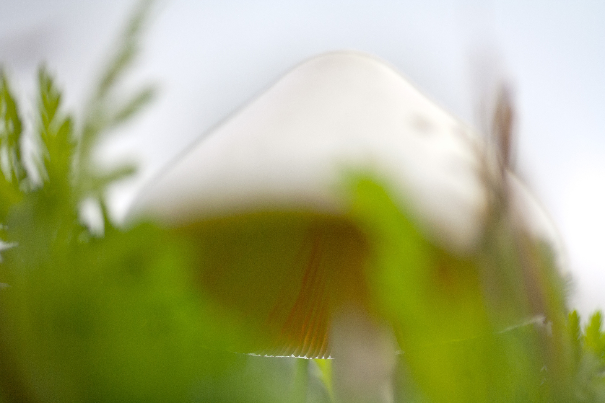 舒爽：感觉舒适愉悦，轻松自在的体验