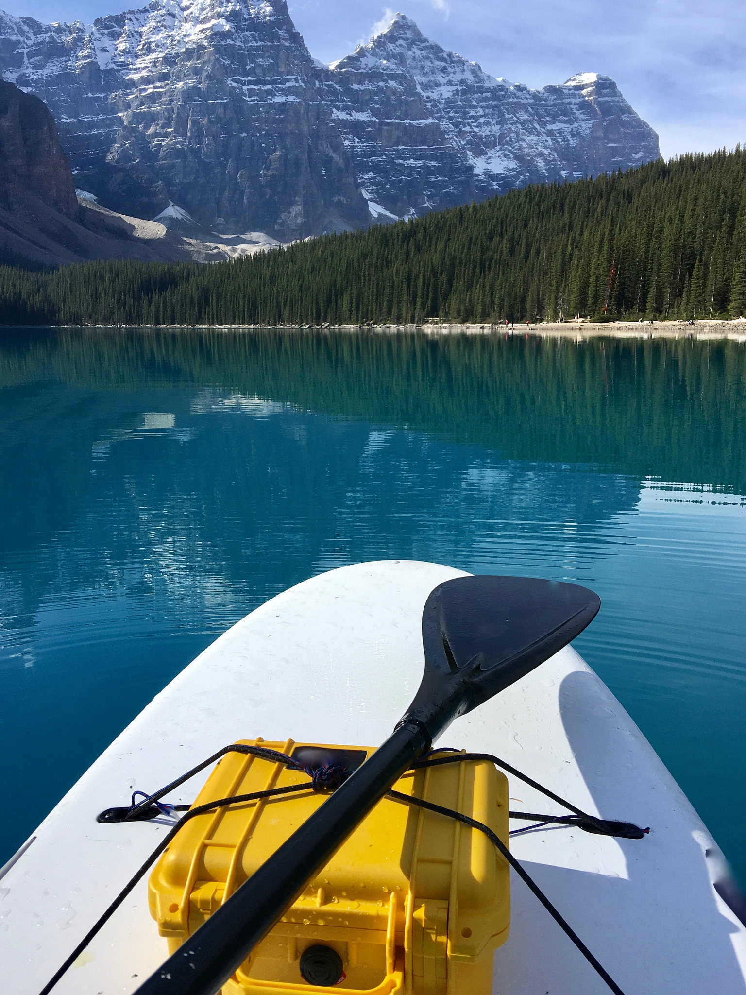 自己动手造冲浪板：详细步骤指南