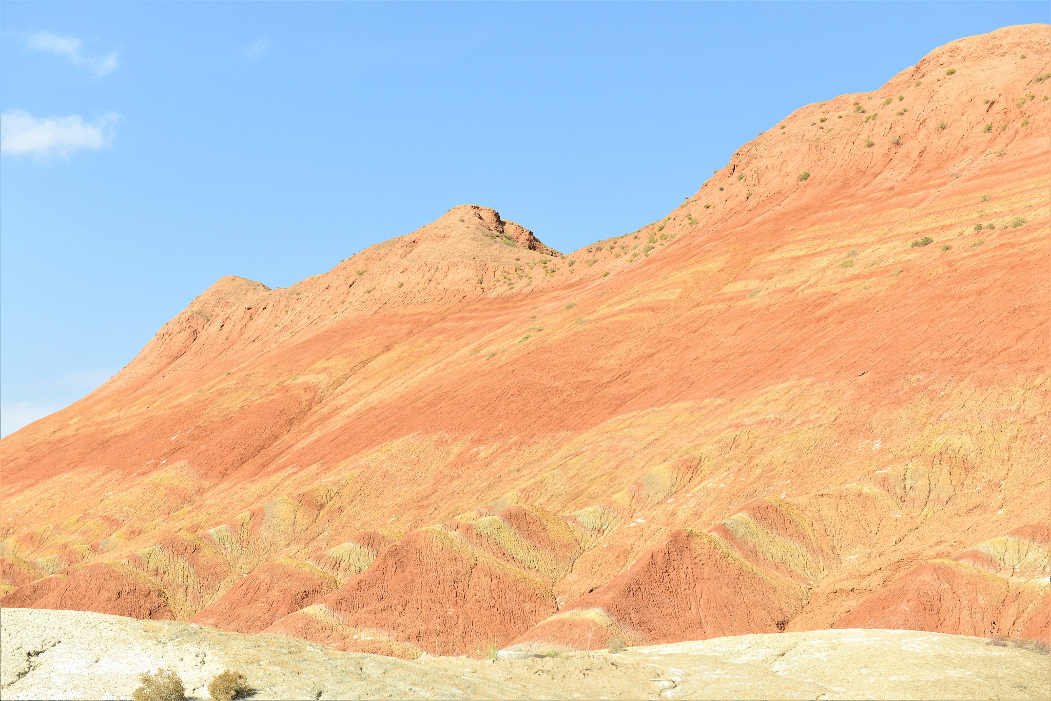 甘肃物流管理专业大学排名及就业前景分析
