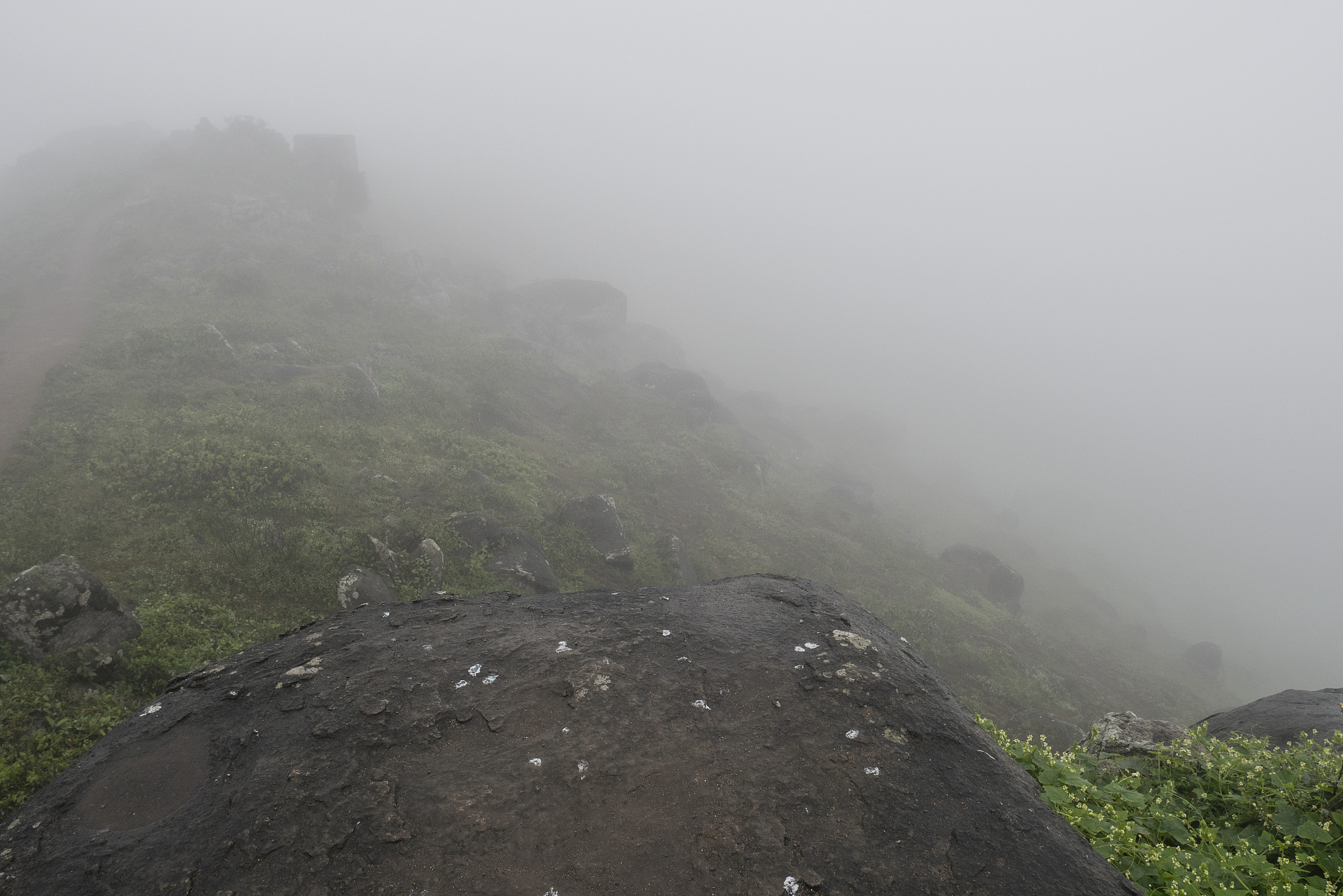 rekomend anime lucu dan menggemaskan