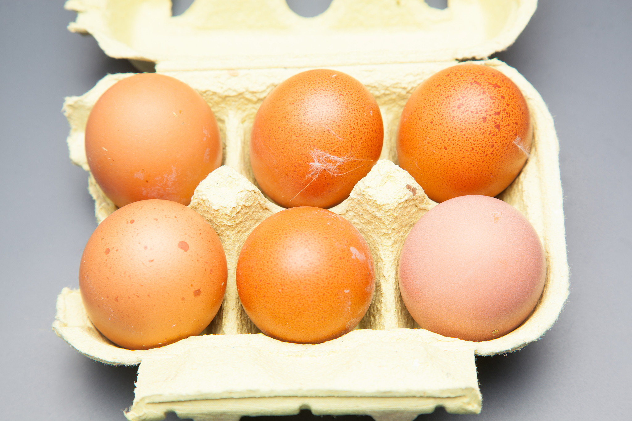 fresh chicken eggs
