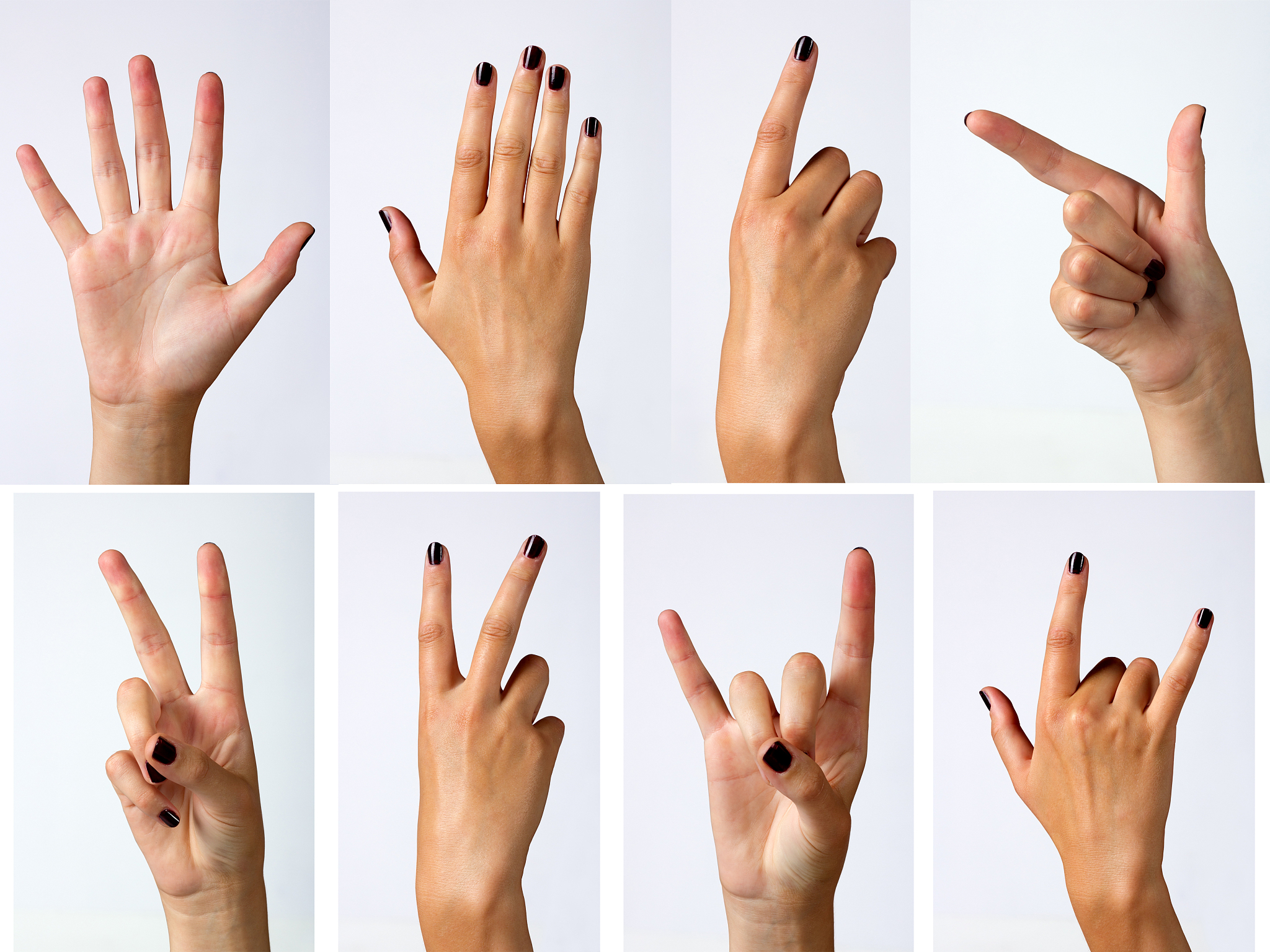 手掌解剖：小指侧和中间部分