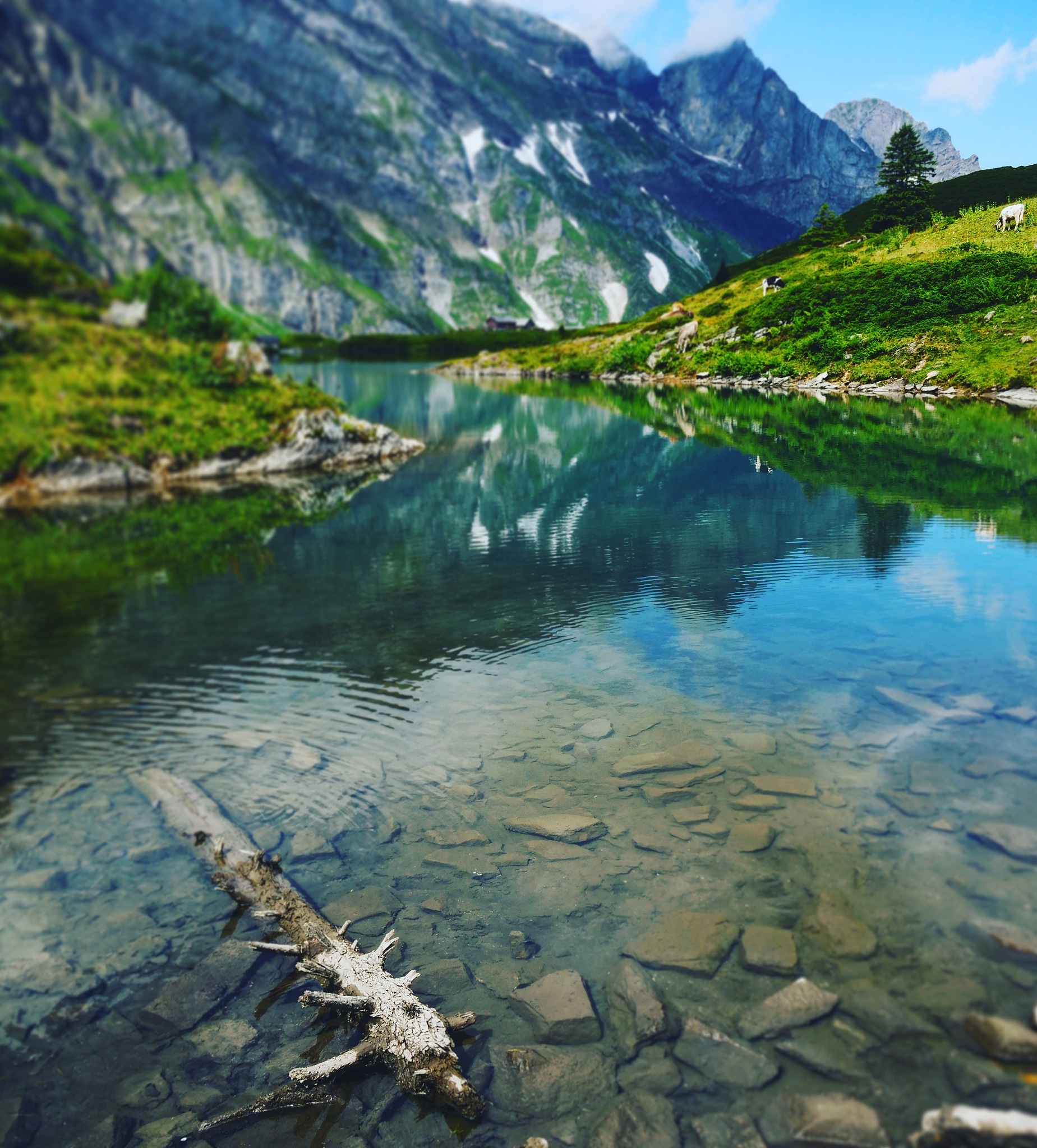 写一篇欣赏壮丽的风景：欣赏山水之美