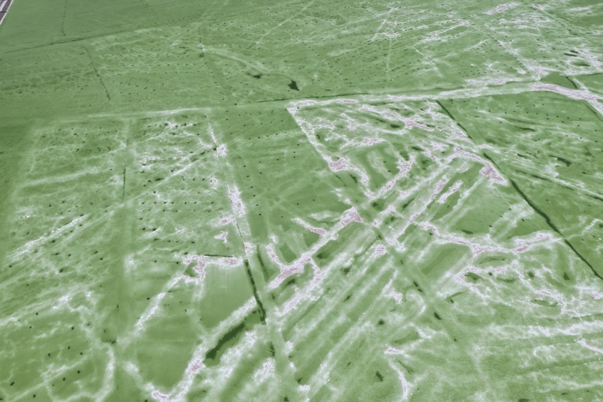 遥感影像反射率：定义、用途及测量