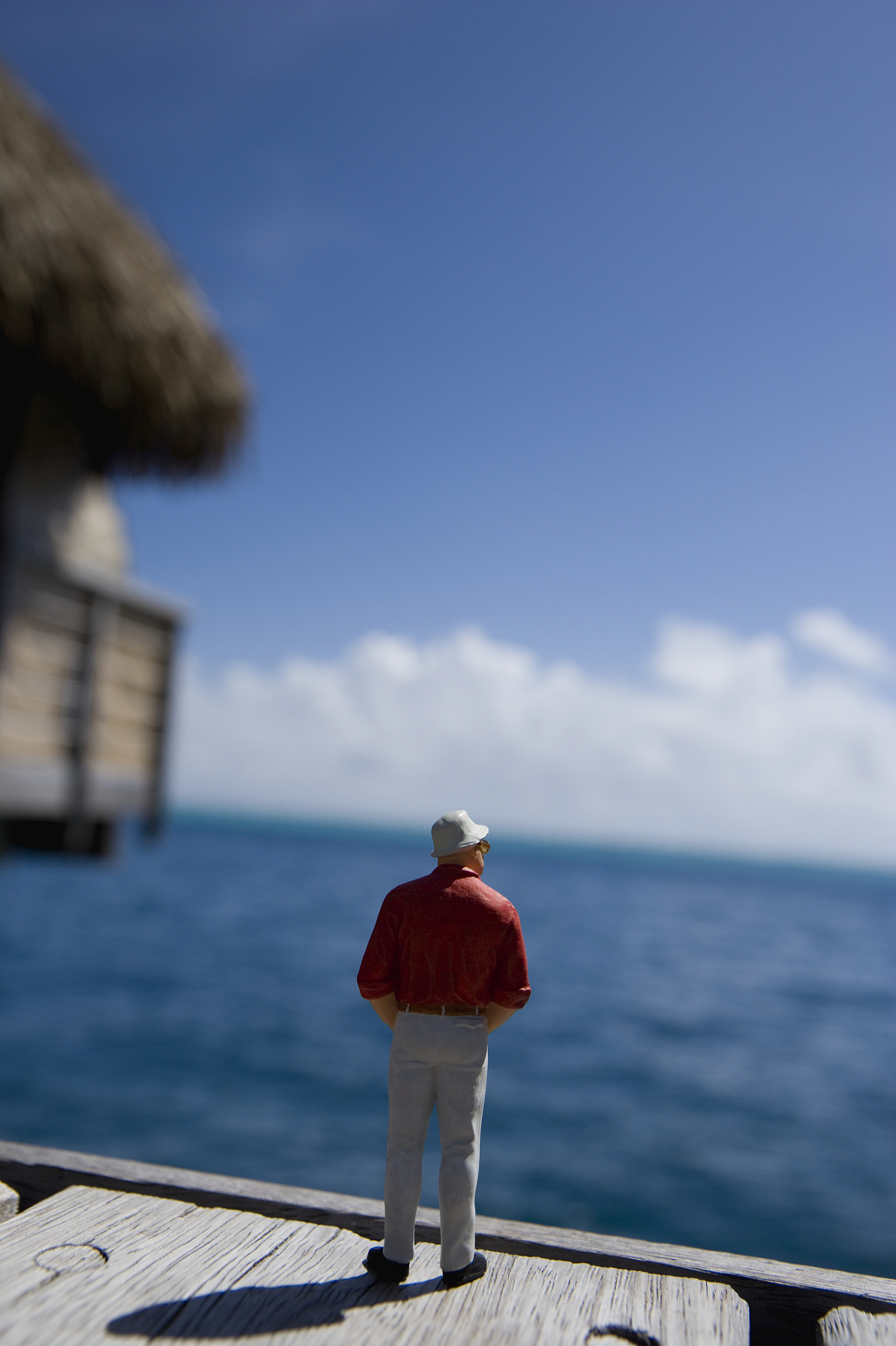 不婚族晚年生活是什么样子。围绕这篇博文写10条10字左右评论